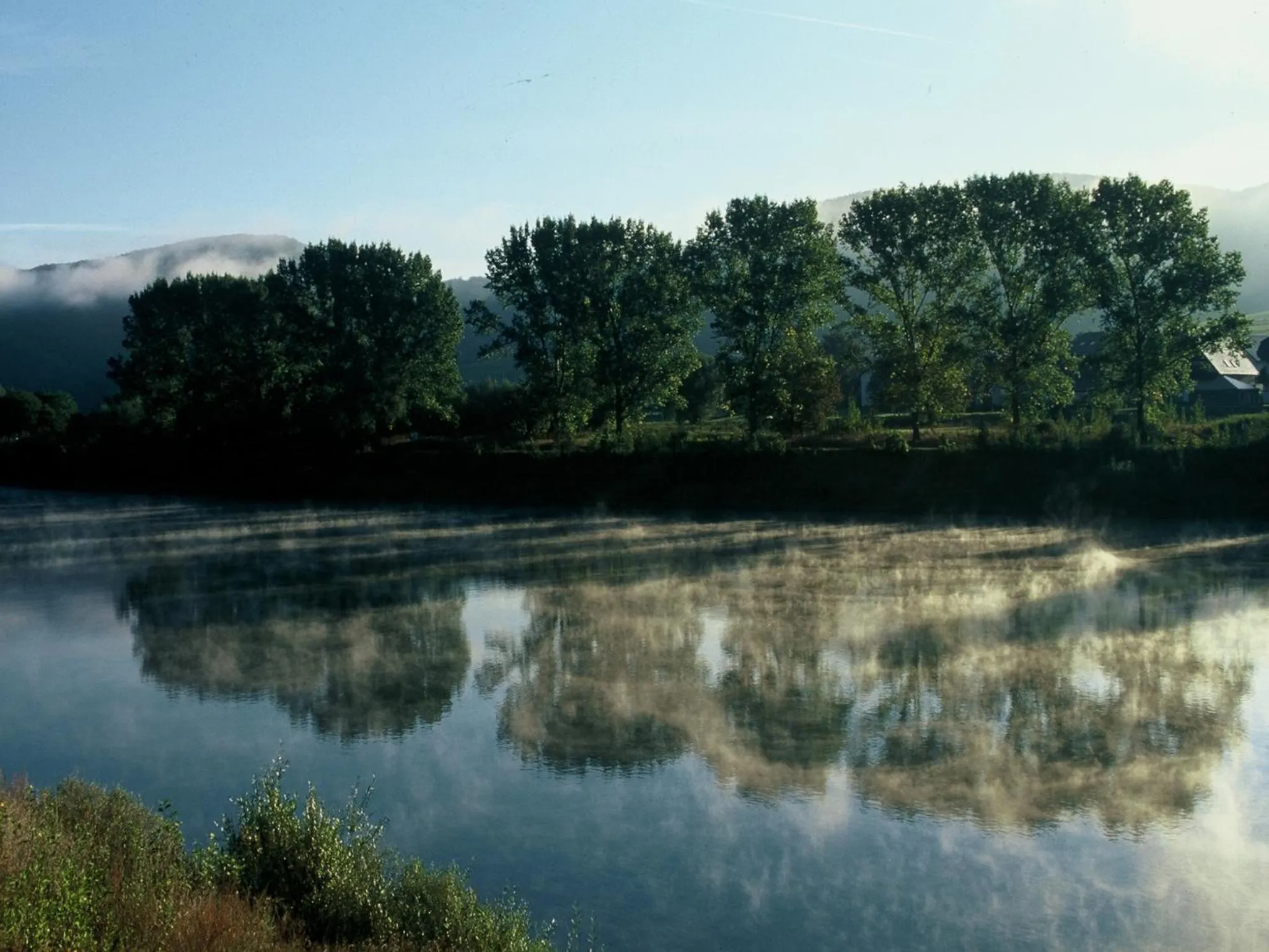 Area and facilities in Hotel Villa Tummelchen