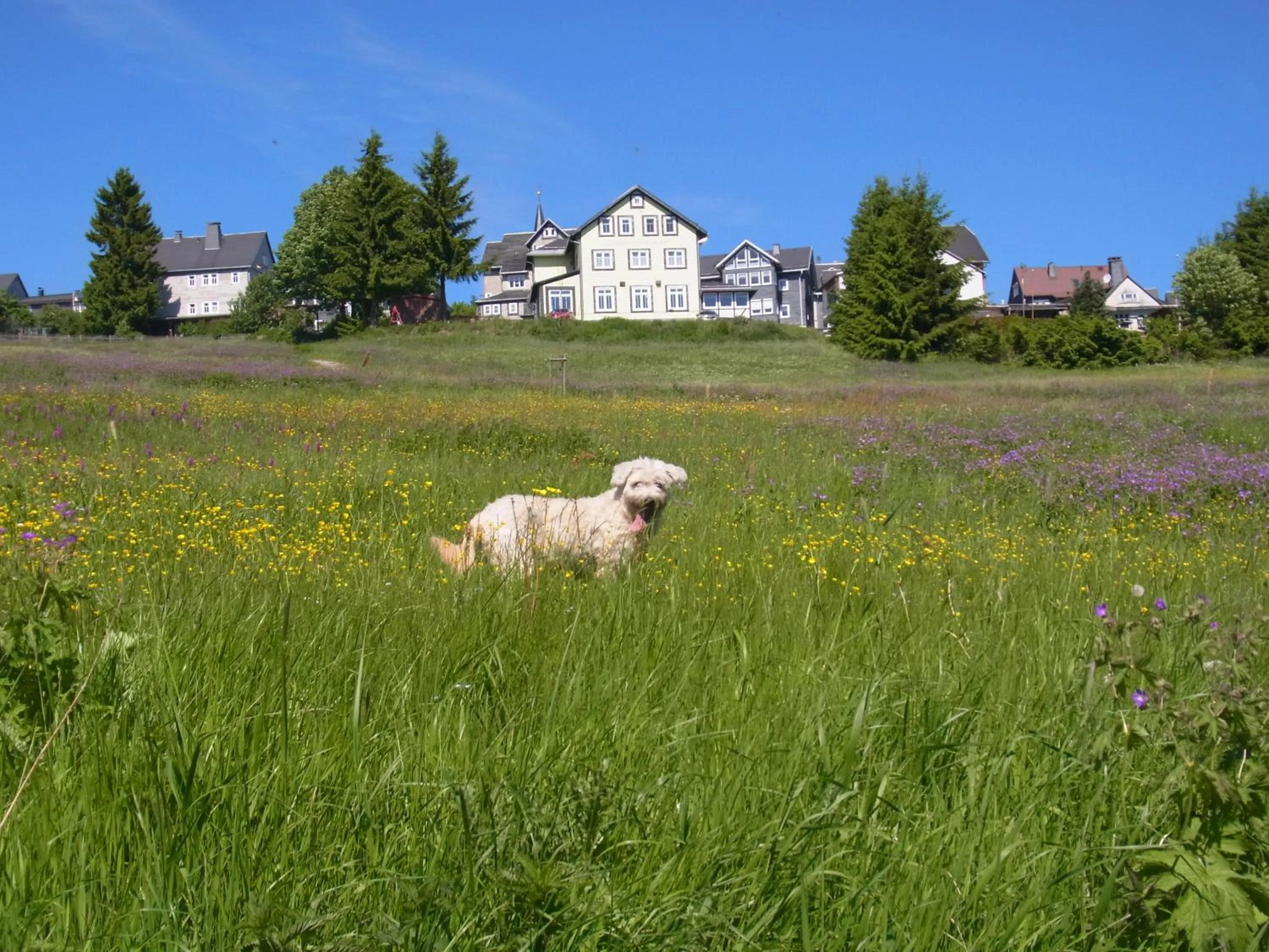 Property building in Hotel Schöne Aussicht