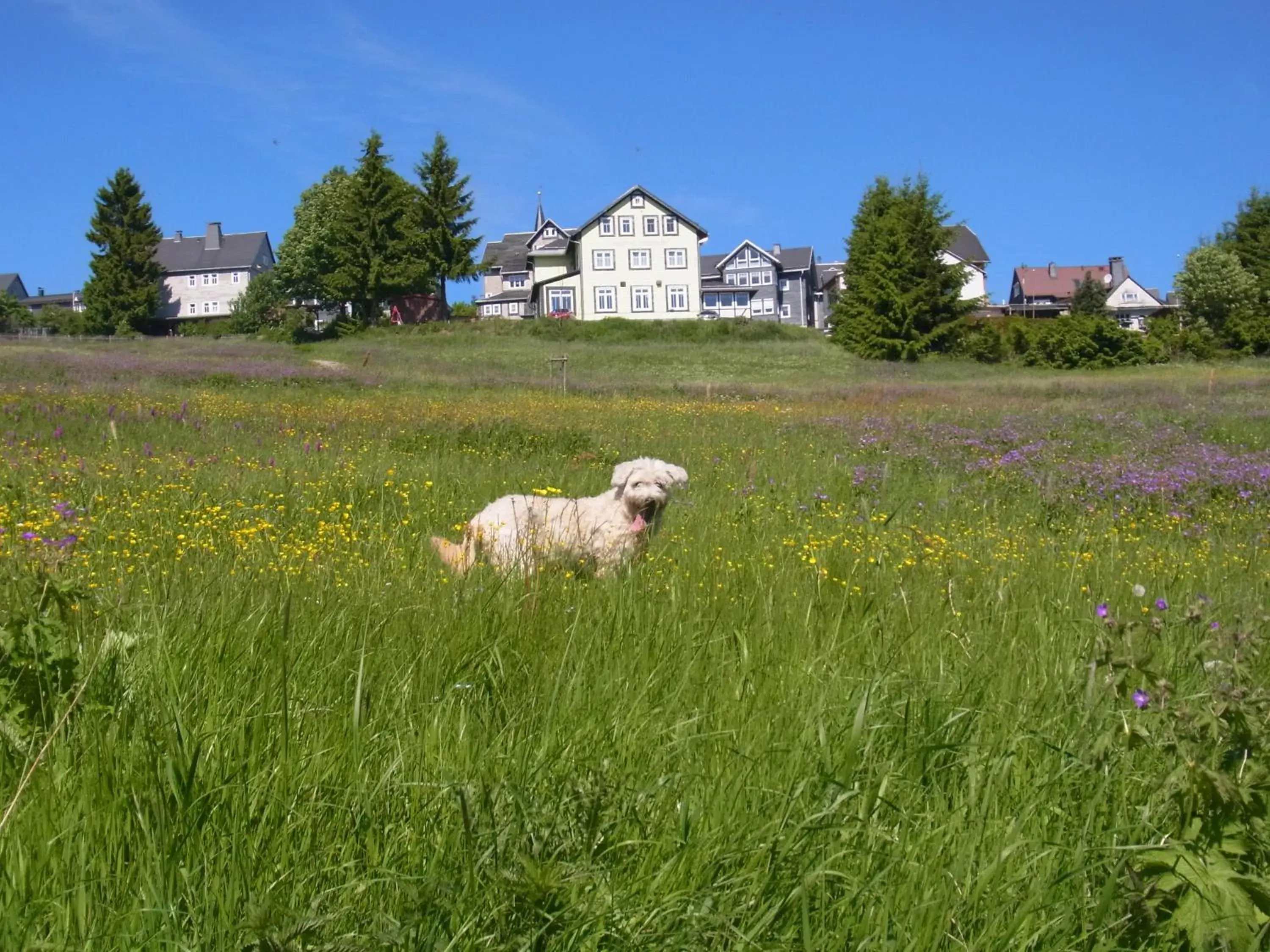 Property building in Hotel Schöne Aussicht Property building in Hotel Schöne Aussicht