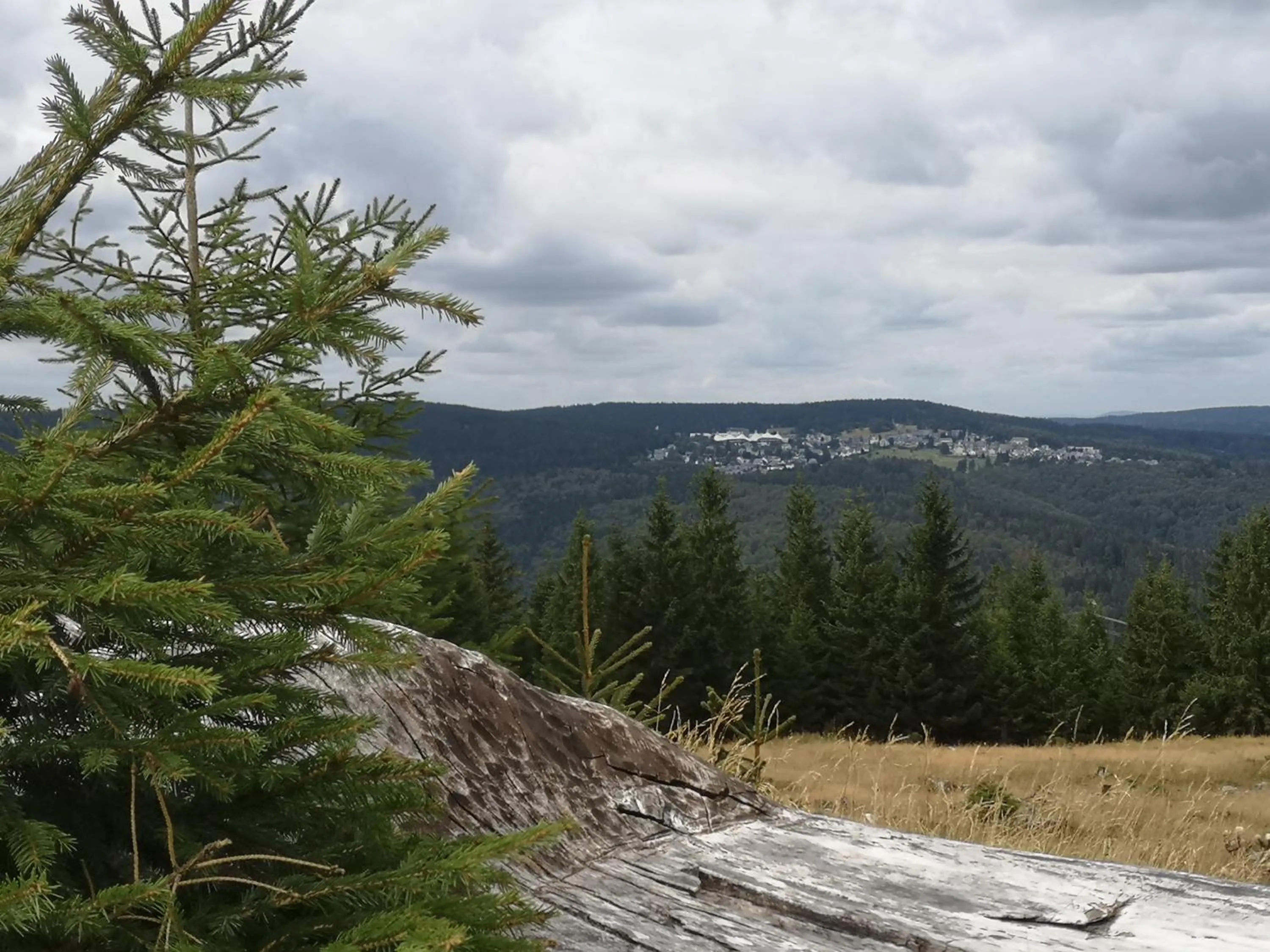 Natural landscape in Hotel Schöne Aussicht