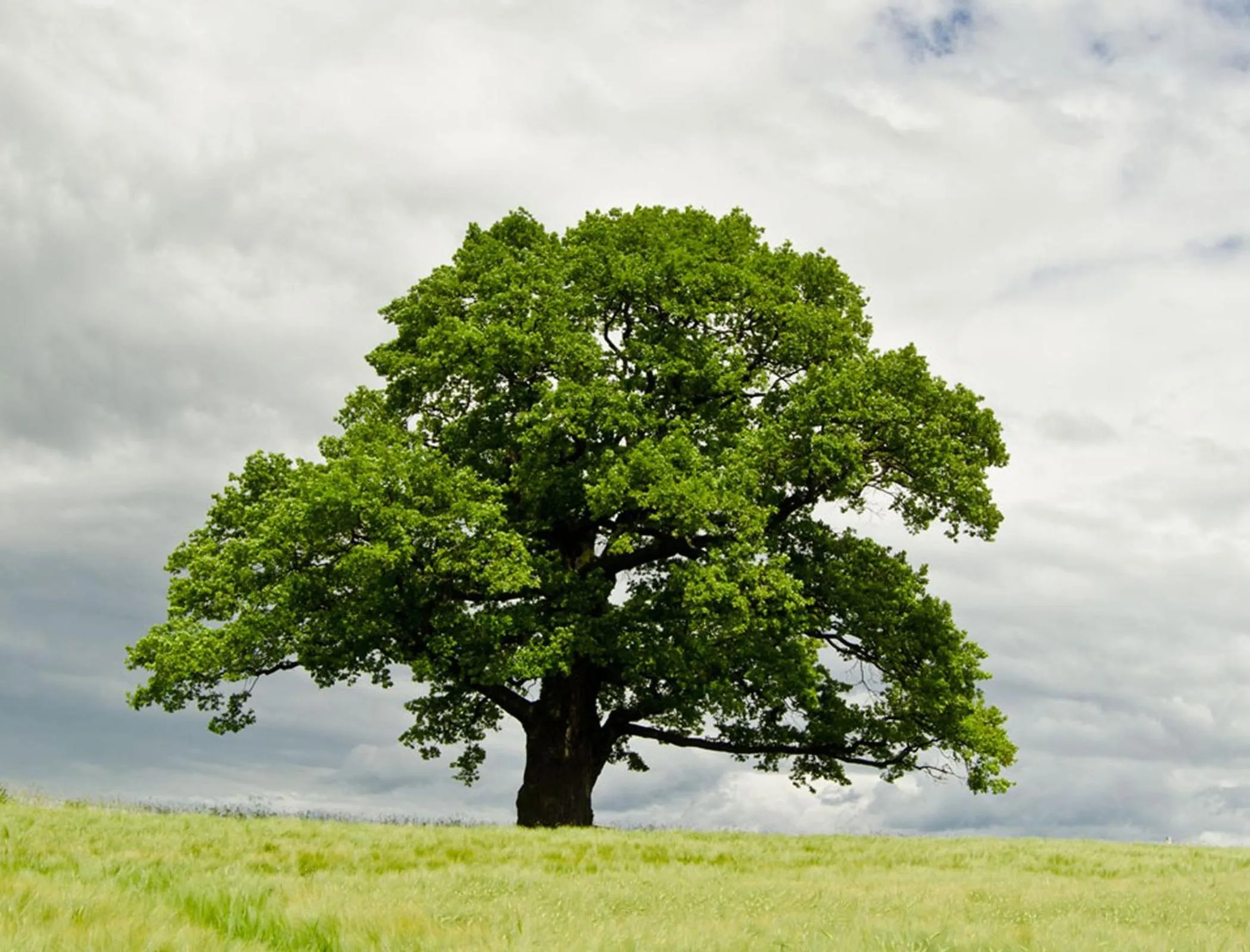 Natural landscape in Landhotel Sonneneck - Breuna im Naturpark