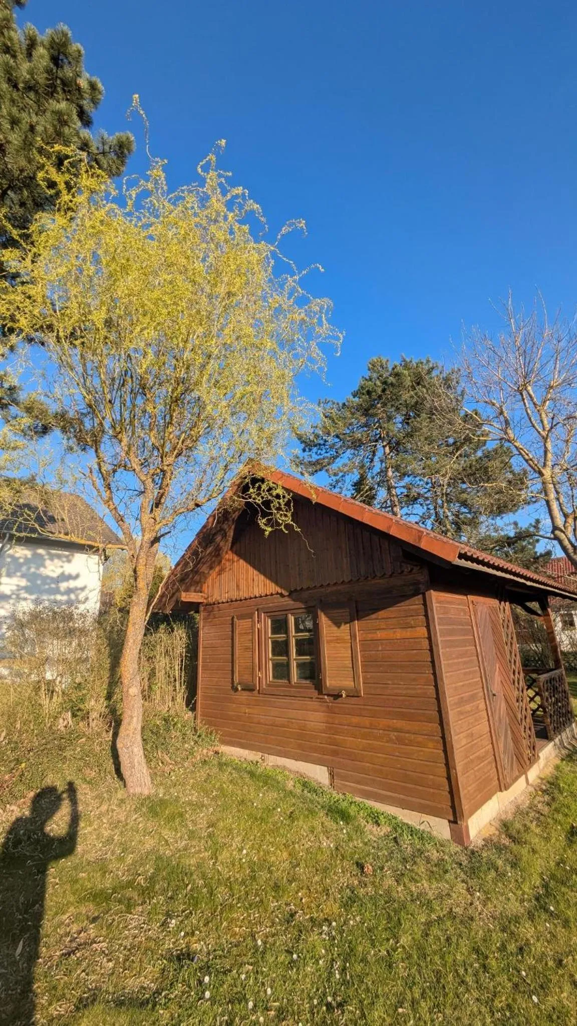 Garden in Landhotel Sonneneck - Breuna im Naturpark