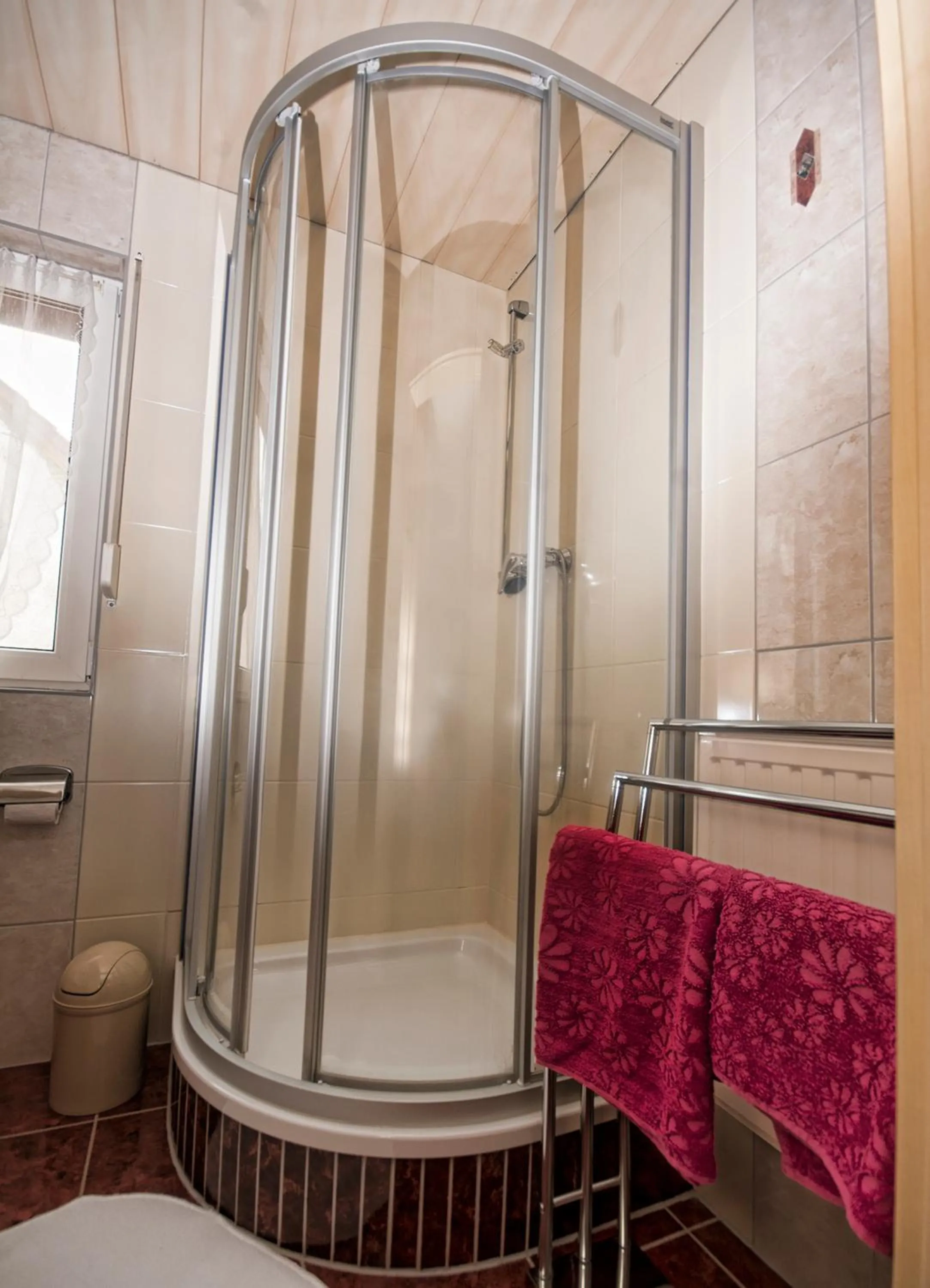Shower in Pension Haus Germania