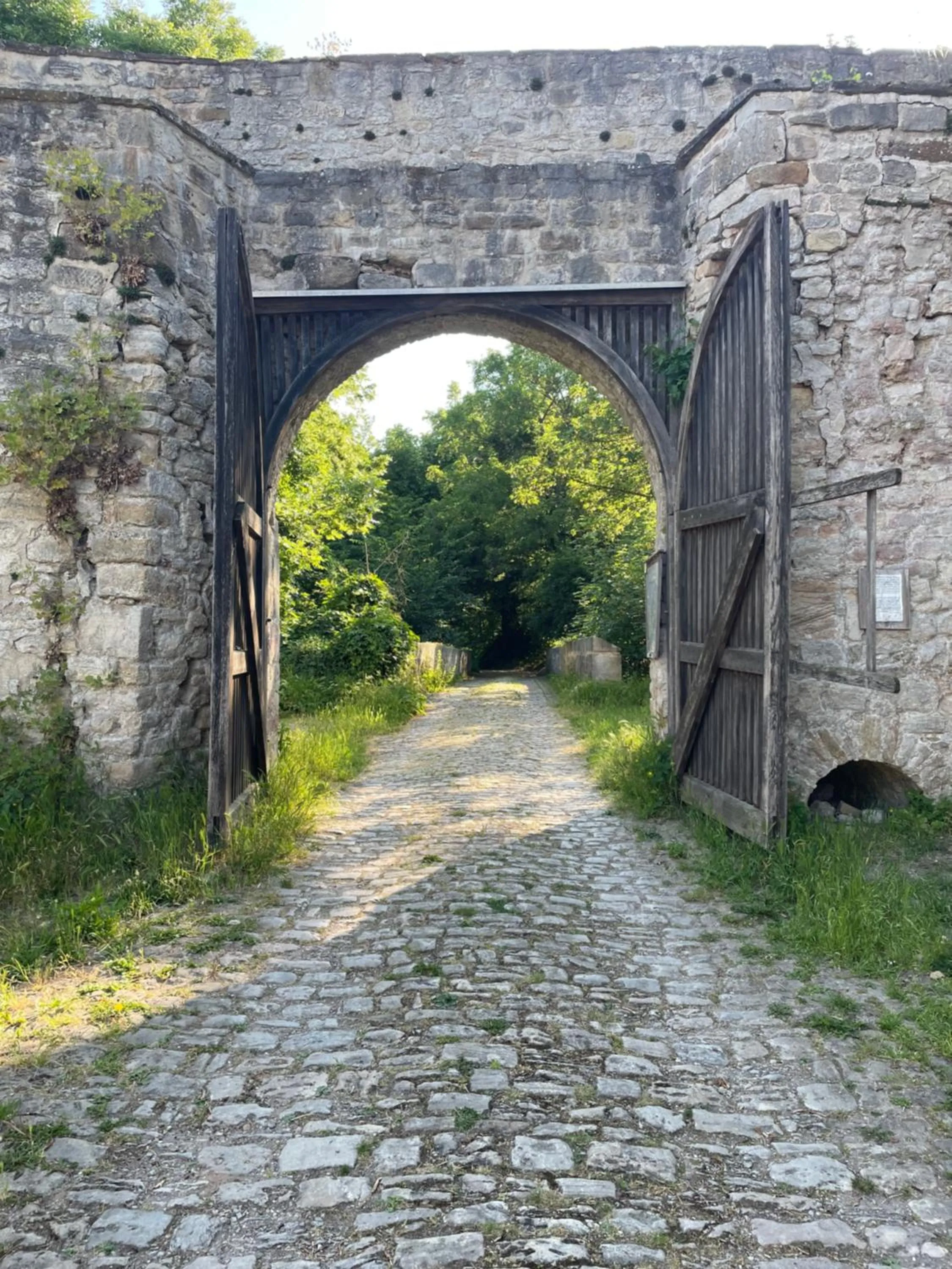 Facade/entrance in Schloss Beichlingen