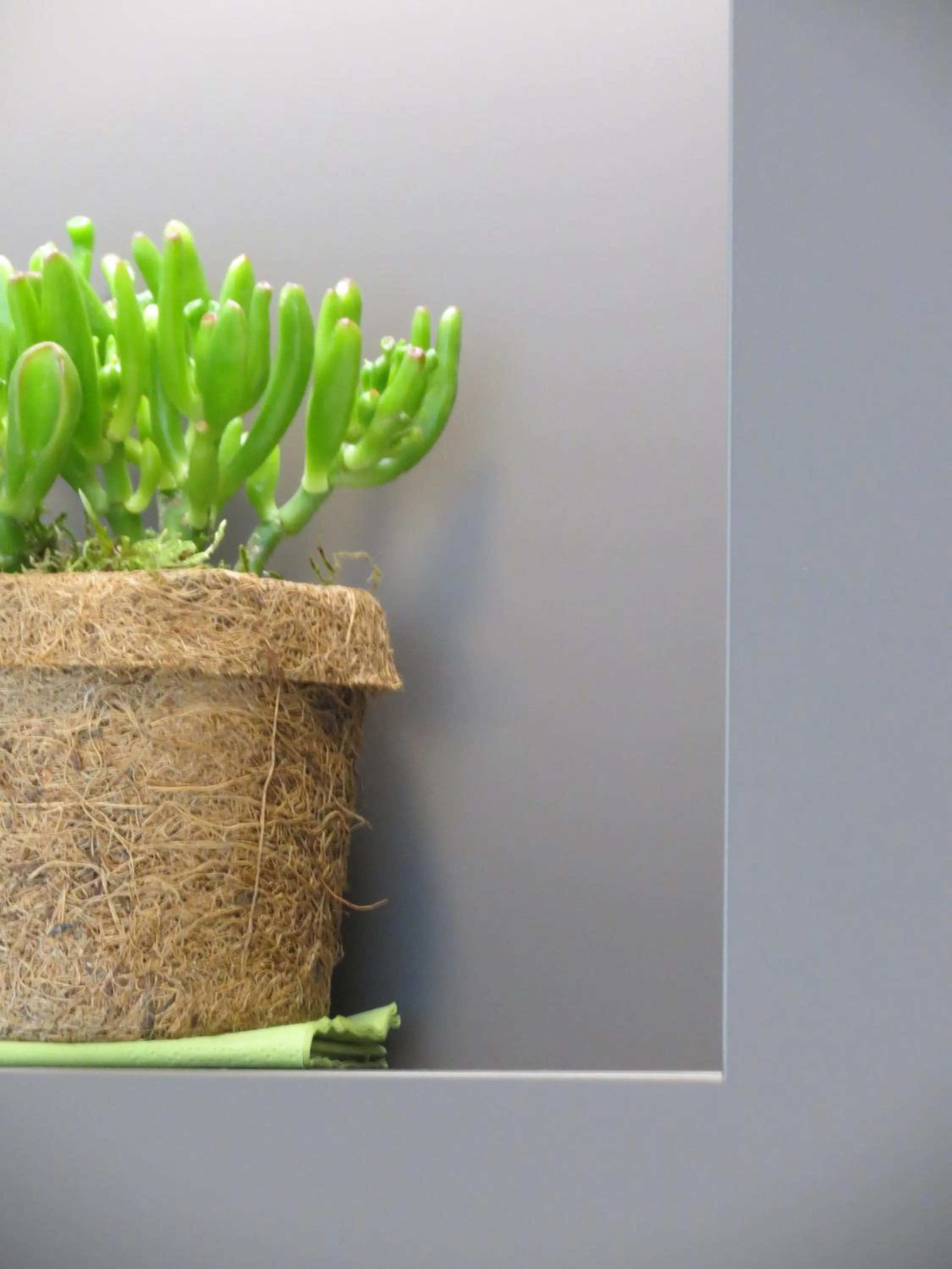 Decorative detail in Hotel Neuthor