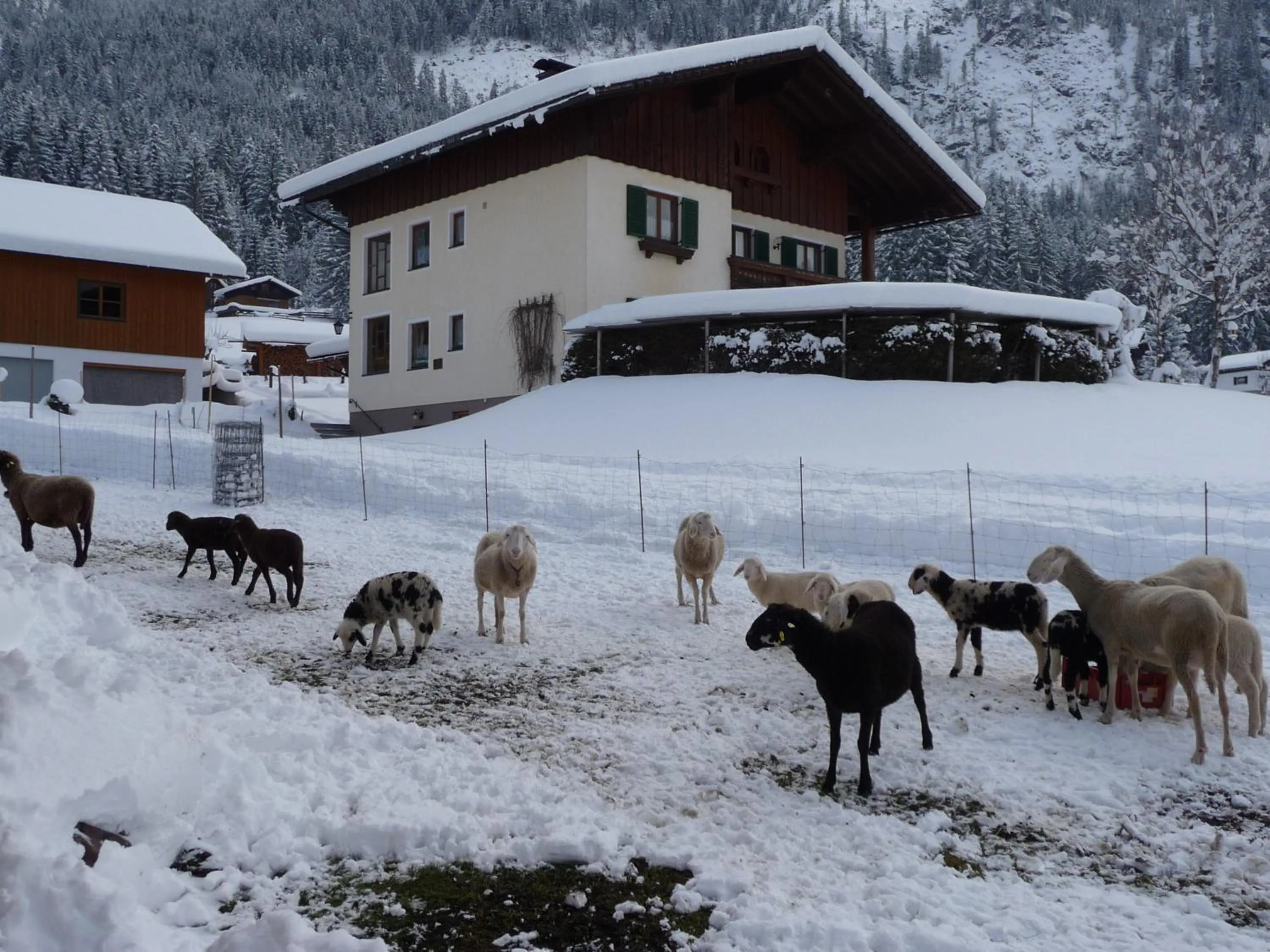 Winter in Ferienwohnung Inge Gapp