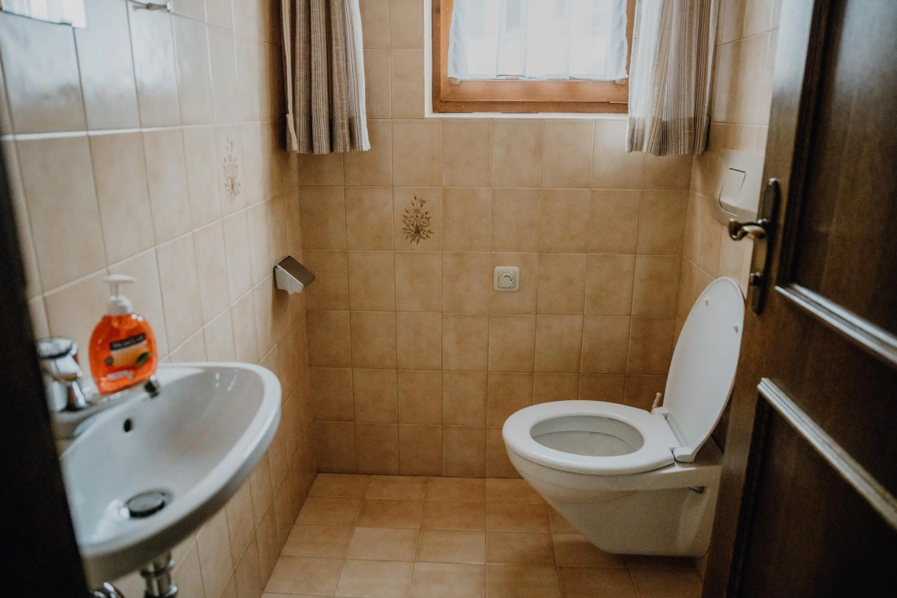 Toilet in Ferienwohnung Inge Gapp