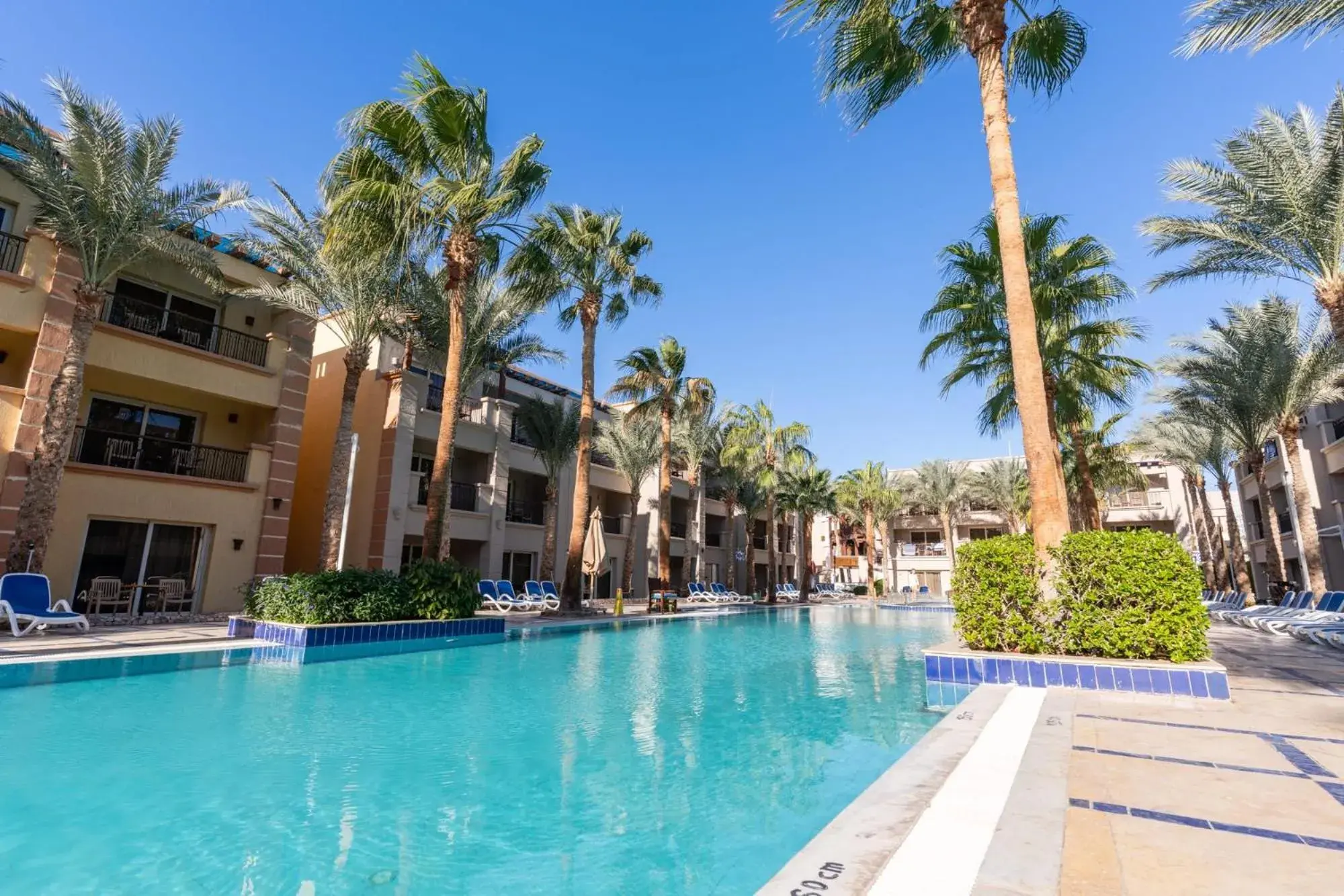 Pool view in Sea Beach Edge By Rotana Pool view in Sea Beach Edge By Rotana