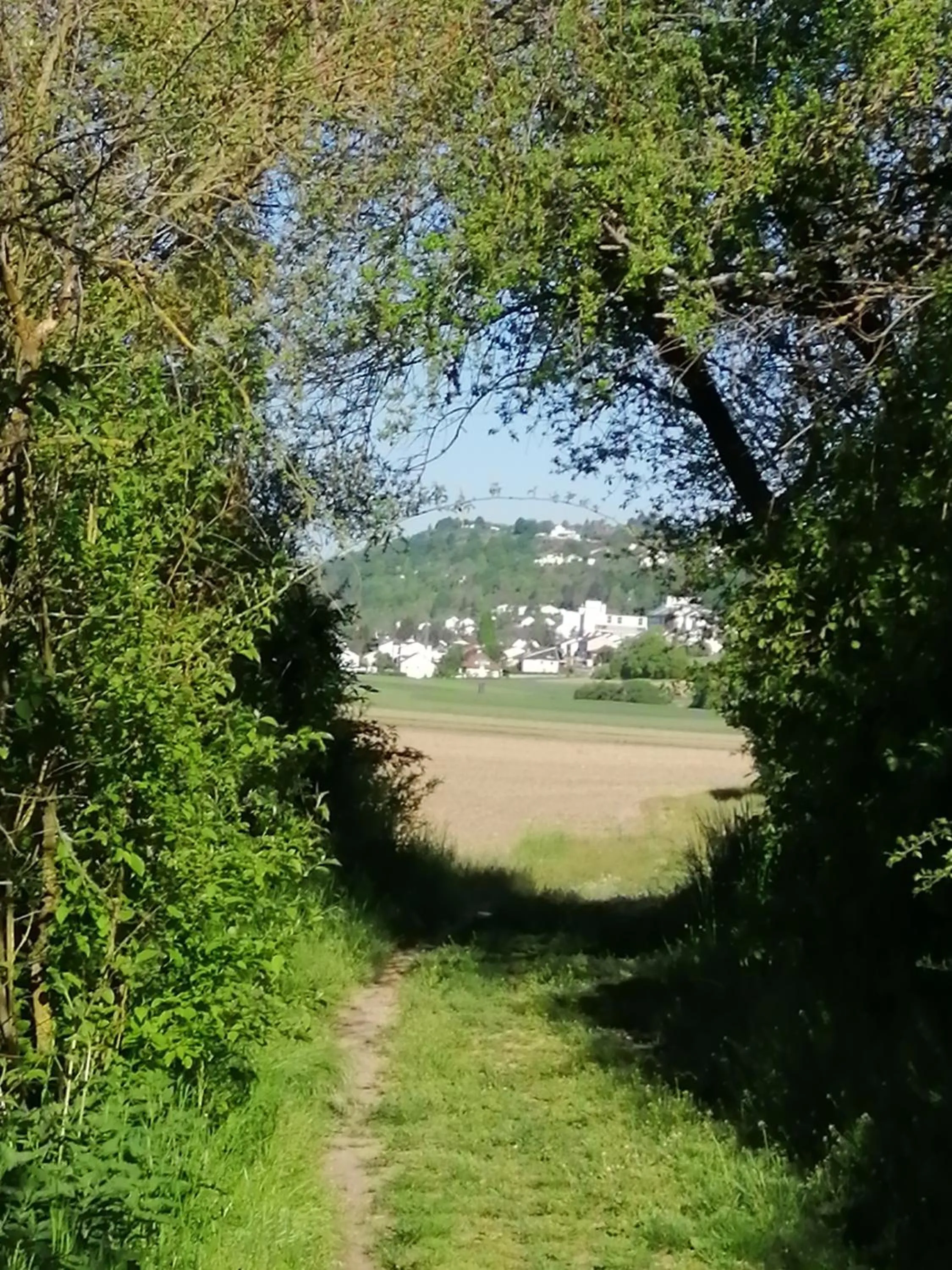 Hiking in Ferienwohnungen Stark