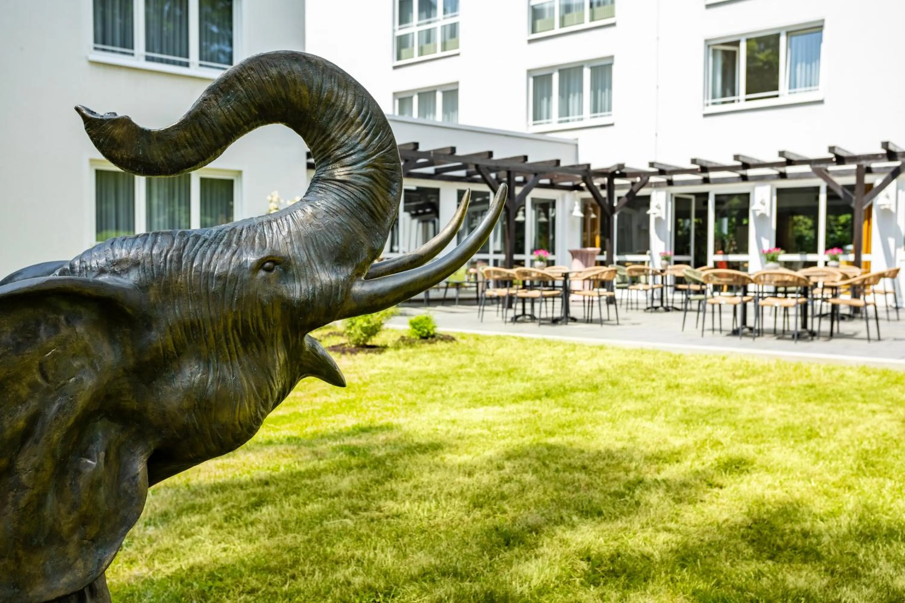 Garden in Concorde Hotel Viktoria