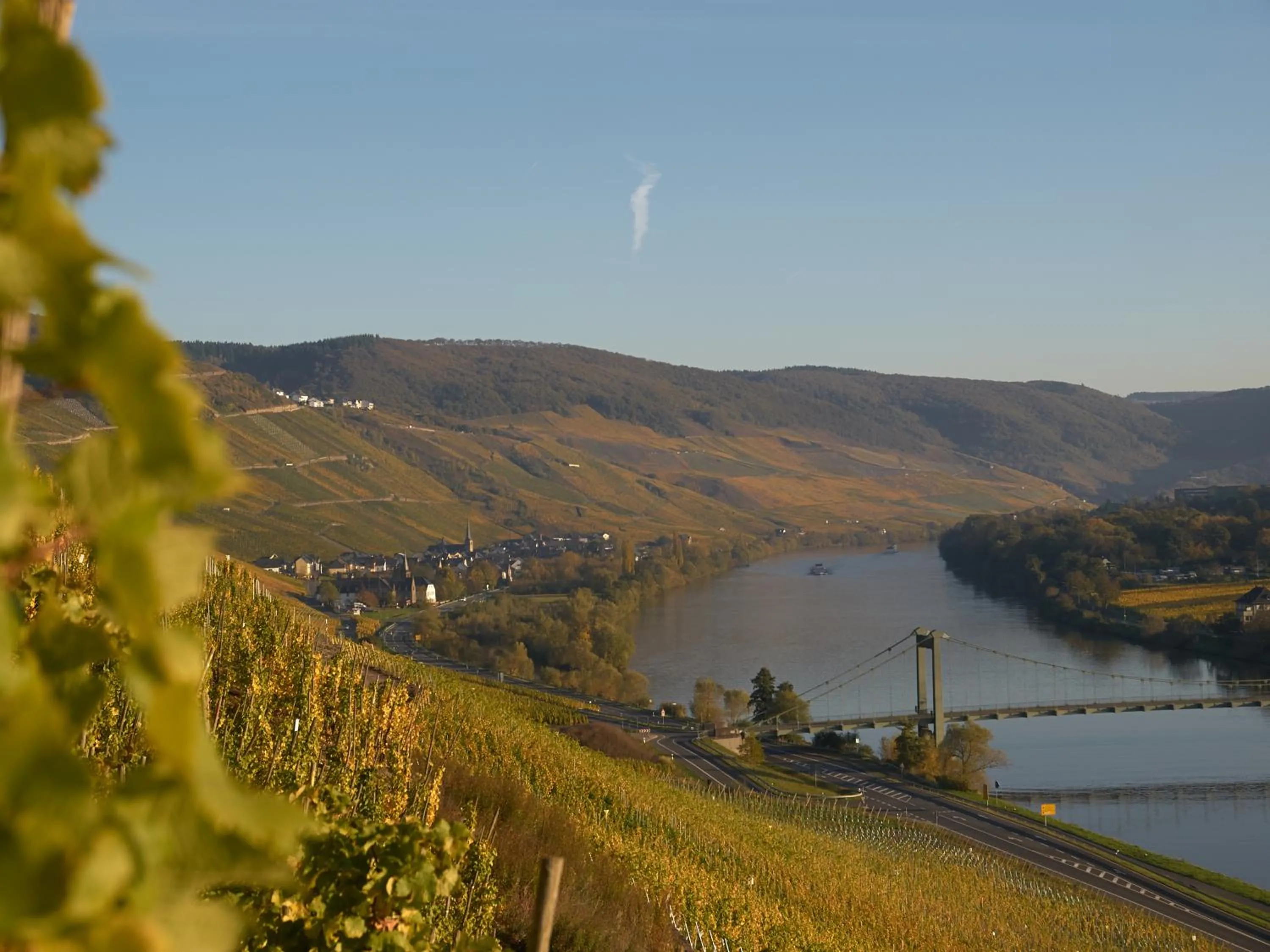 Wein- und Landhaus S A Prüm