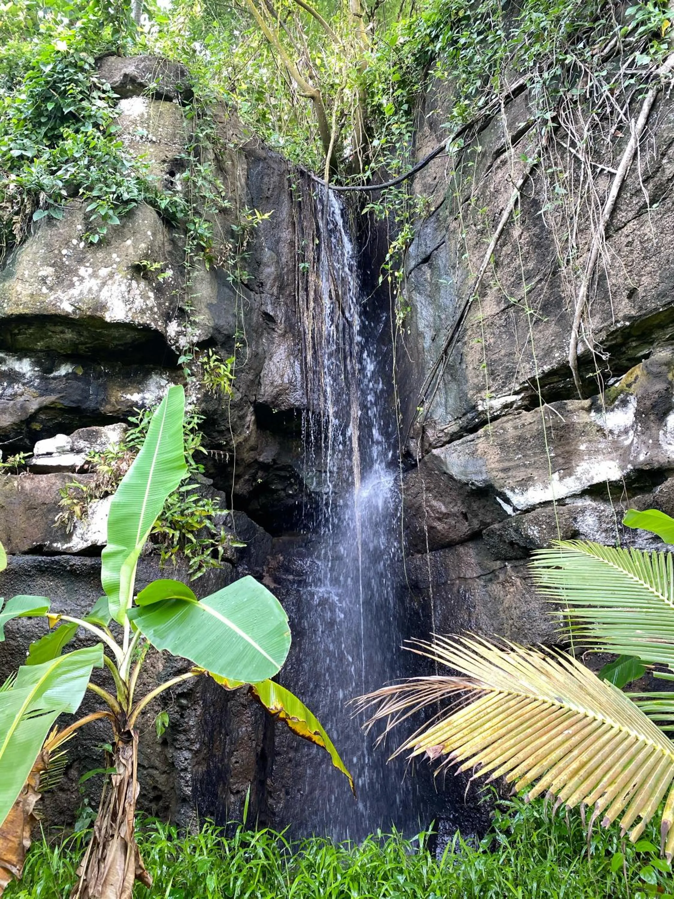 Natural landscape in Wide Sands Beach Retreat