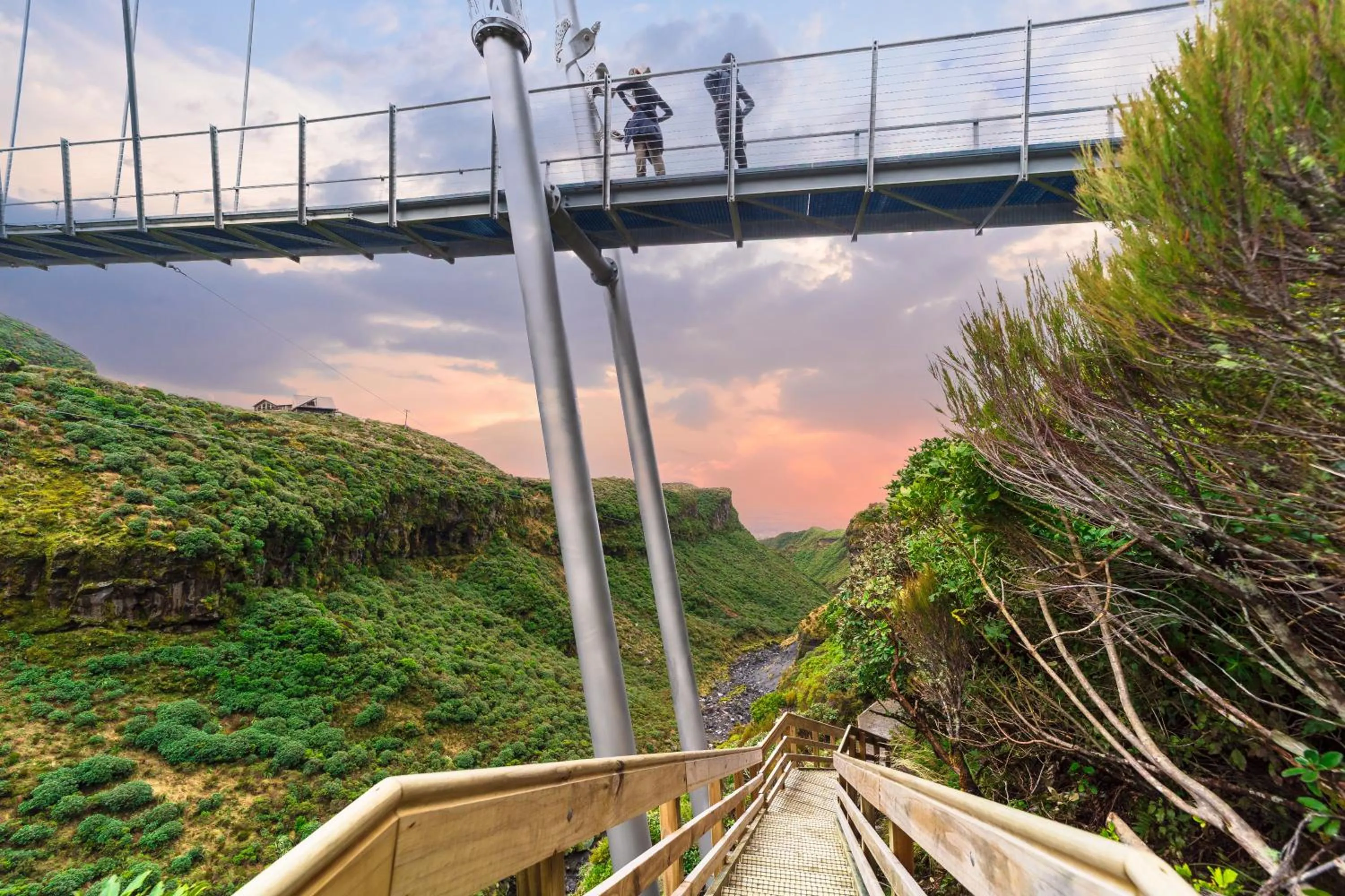 Spring in Mountain House, Stratford, Ngati Ruanui