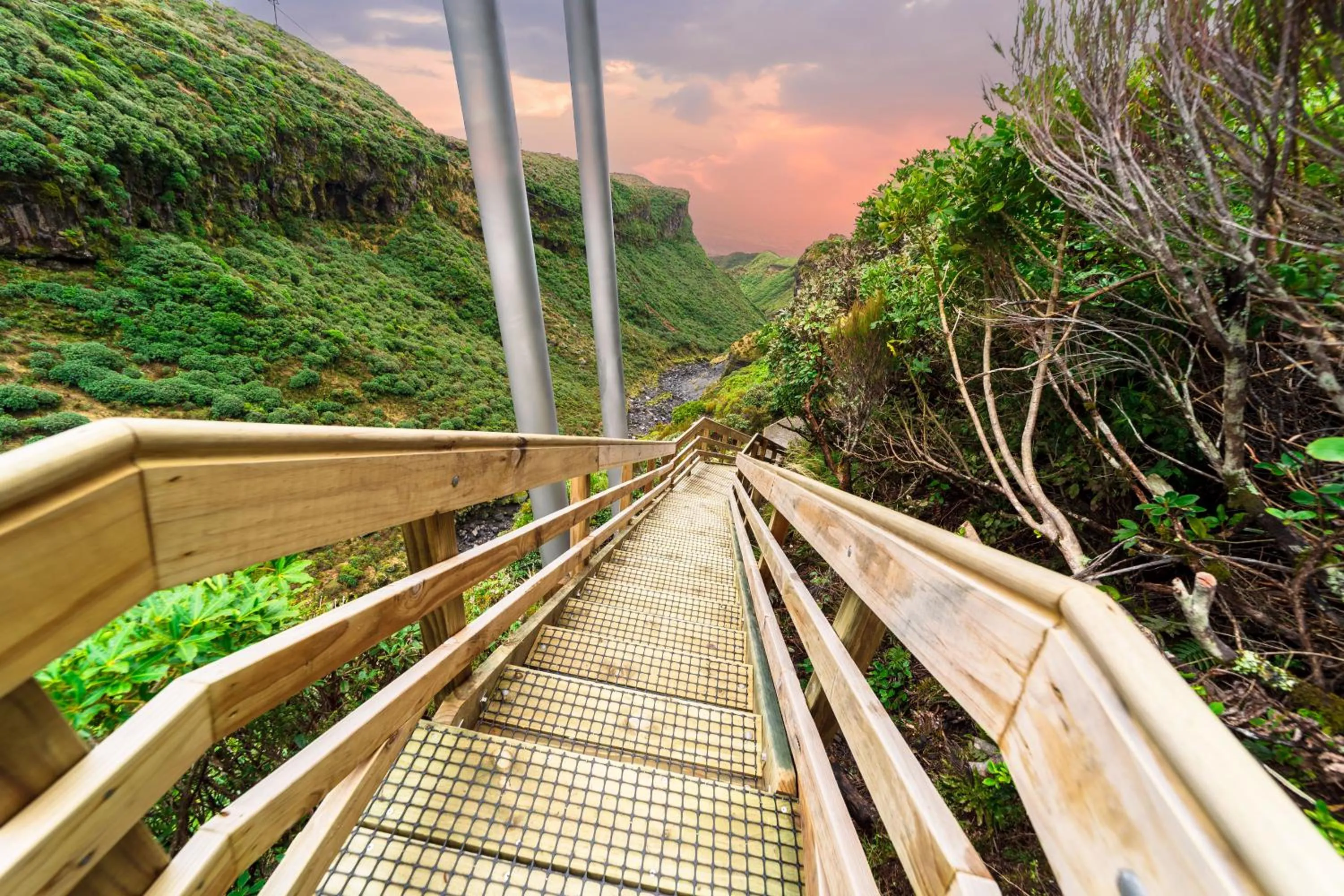 Spring in Mountain House, Stratford, Ngati Ruanui