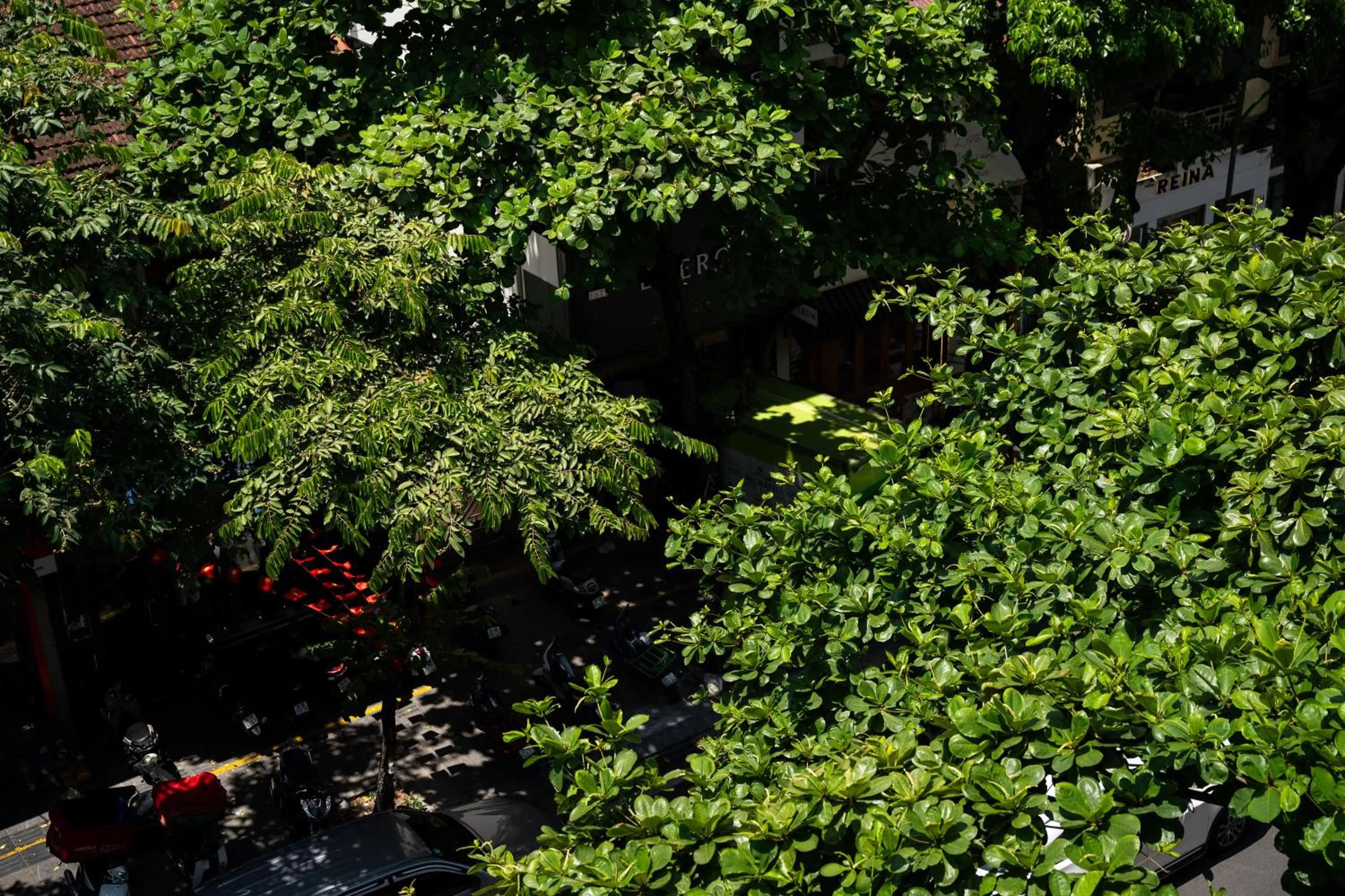 Natural landscape in Chariot Hotel