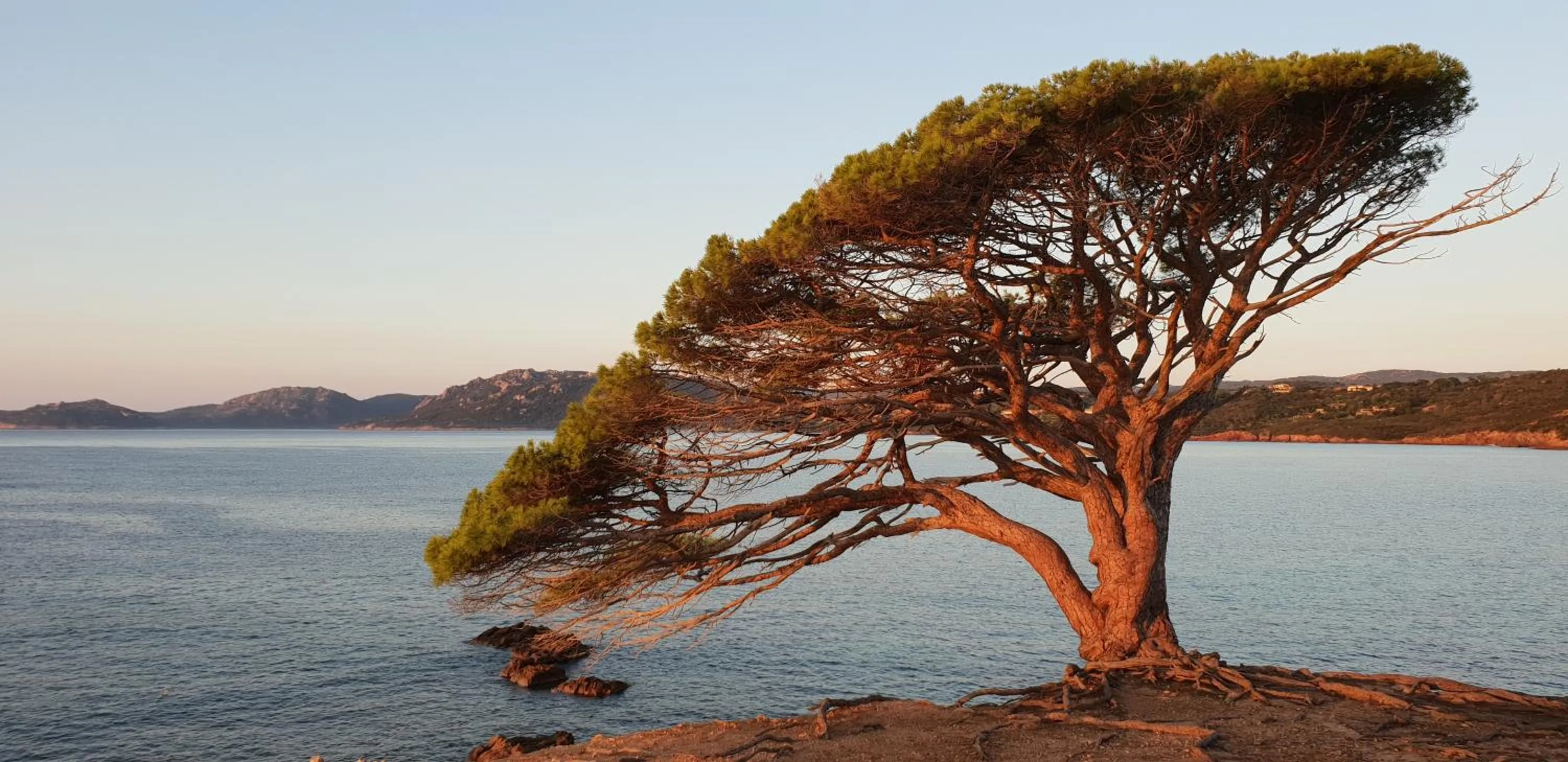 Off site in Résidence Liccia di Furu