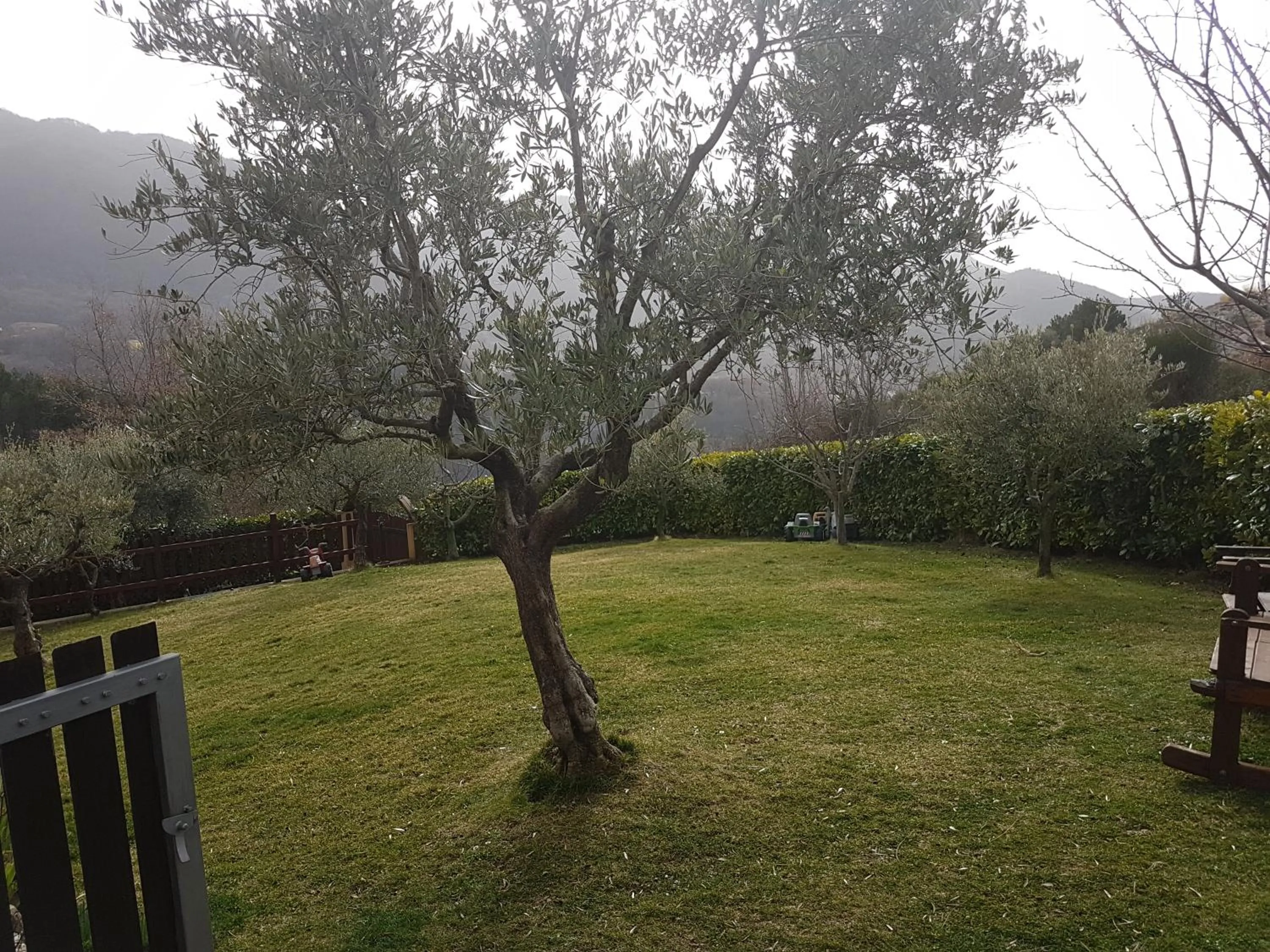 Garden in Le Chalet del Pollino