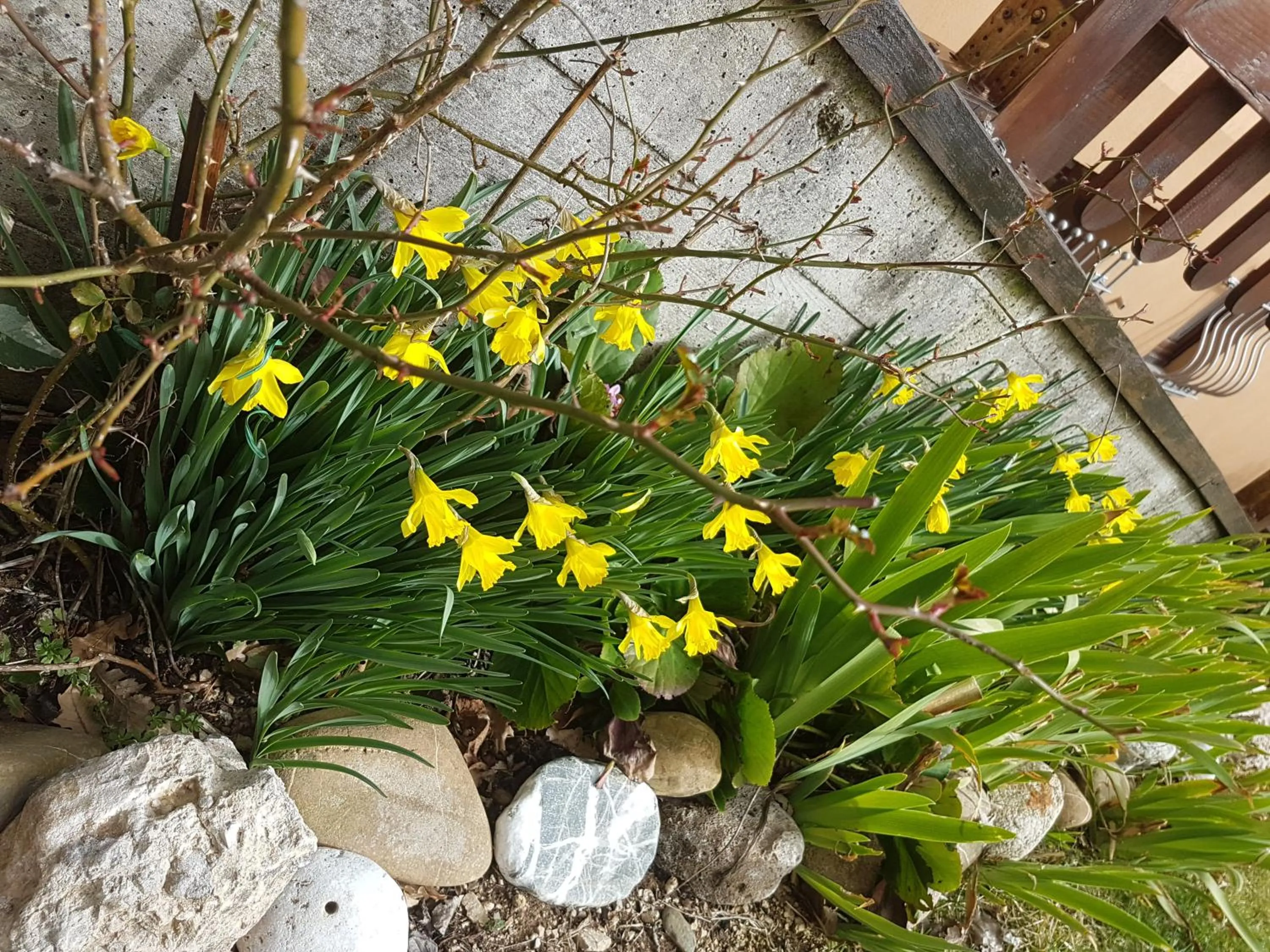 Garden in Le Chalet del Pollino