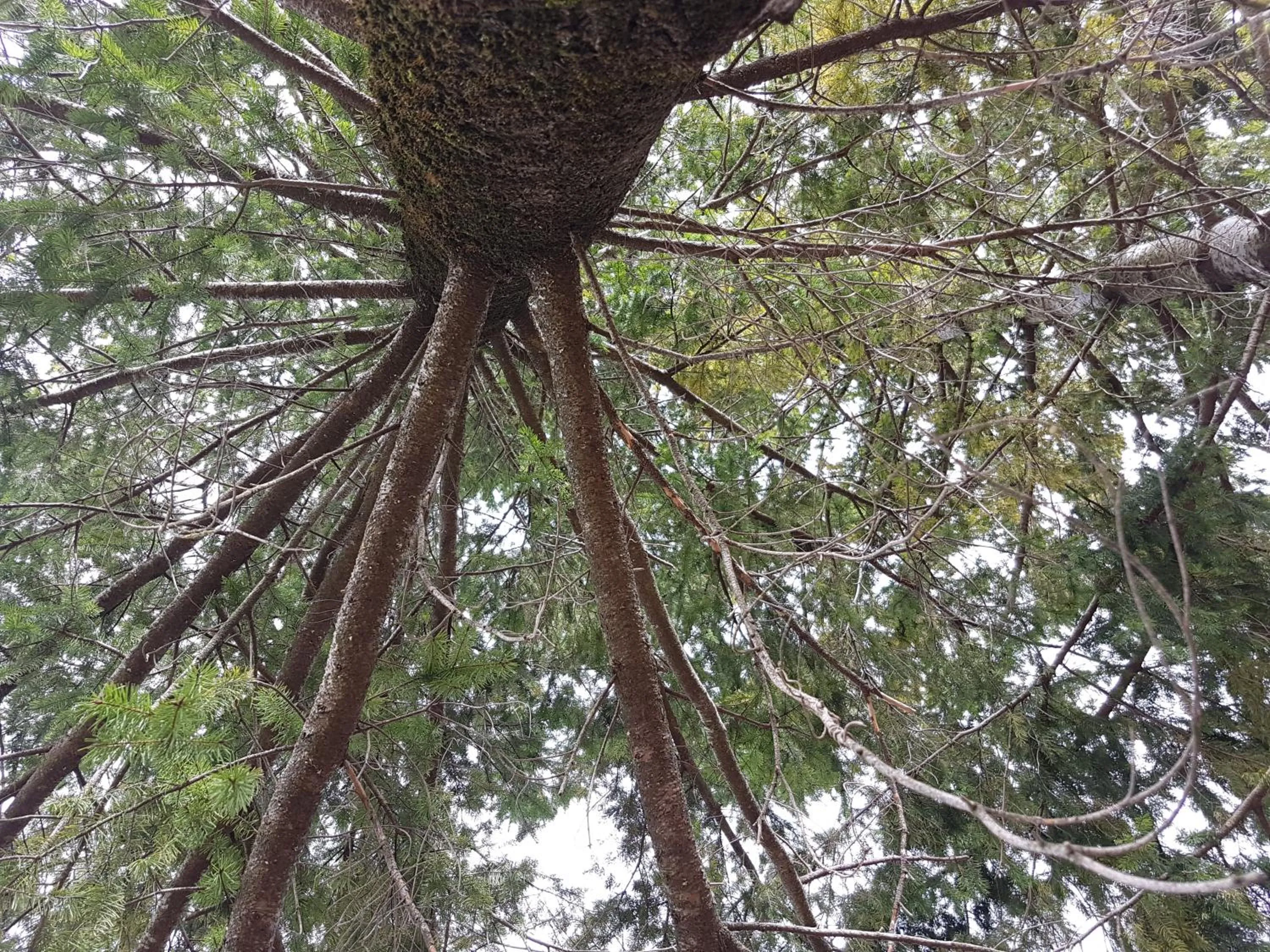 Natural landscape in Le Chalet del Pollino