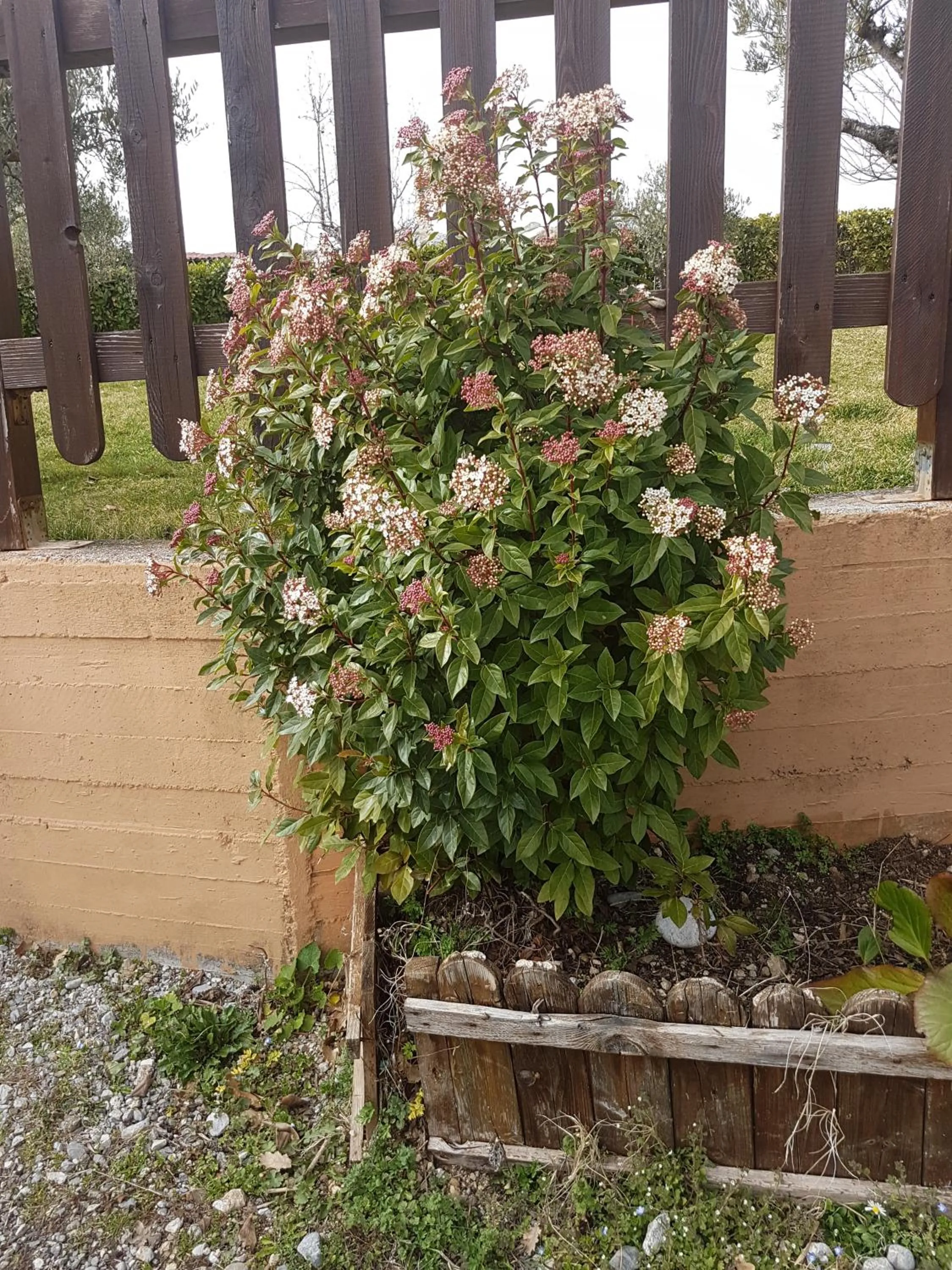 Garden in Le Chalet del Pollino