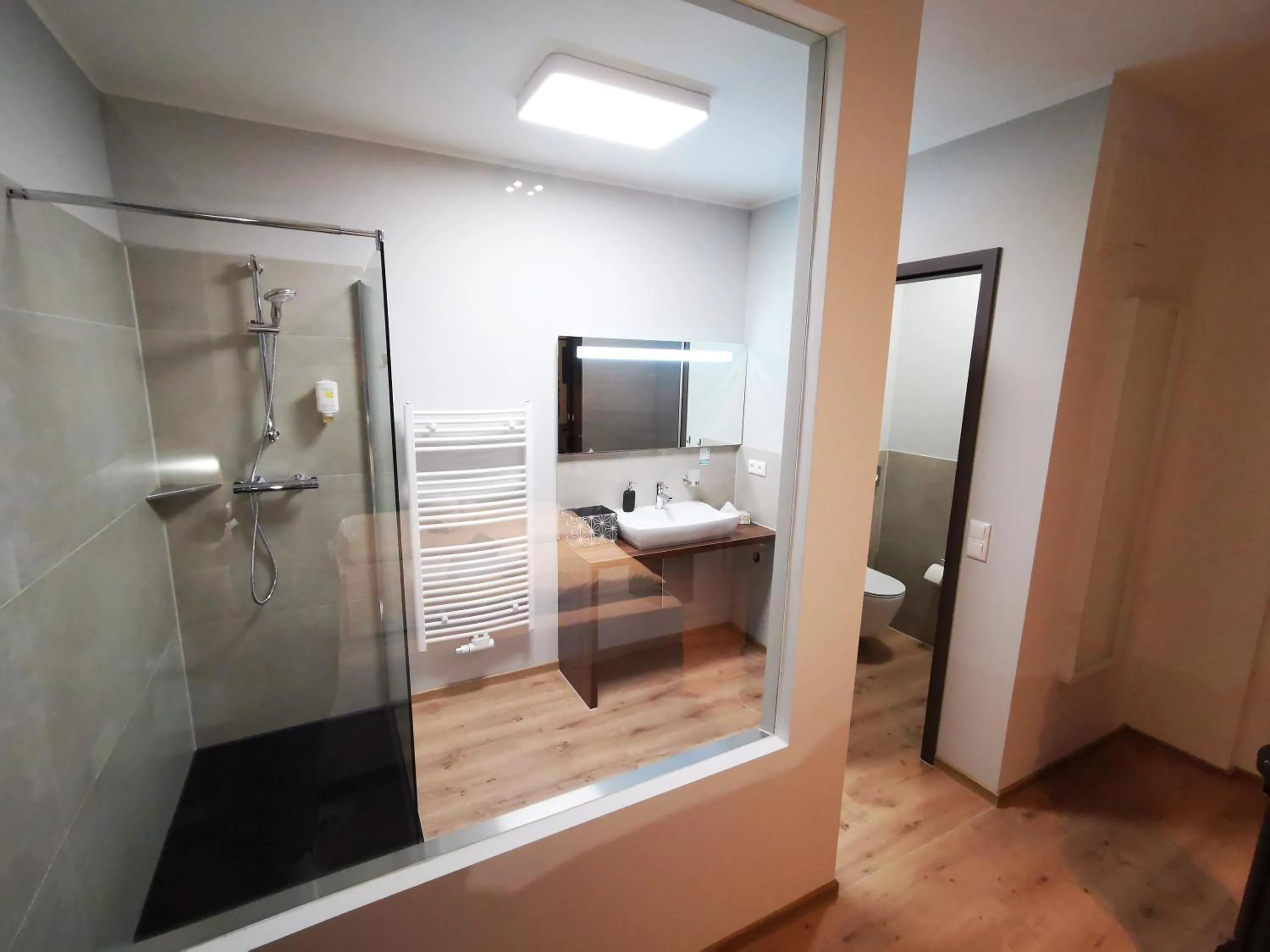 Shower in Hotel Zu Freunden