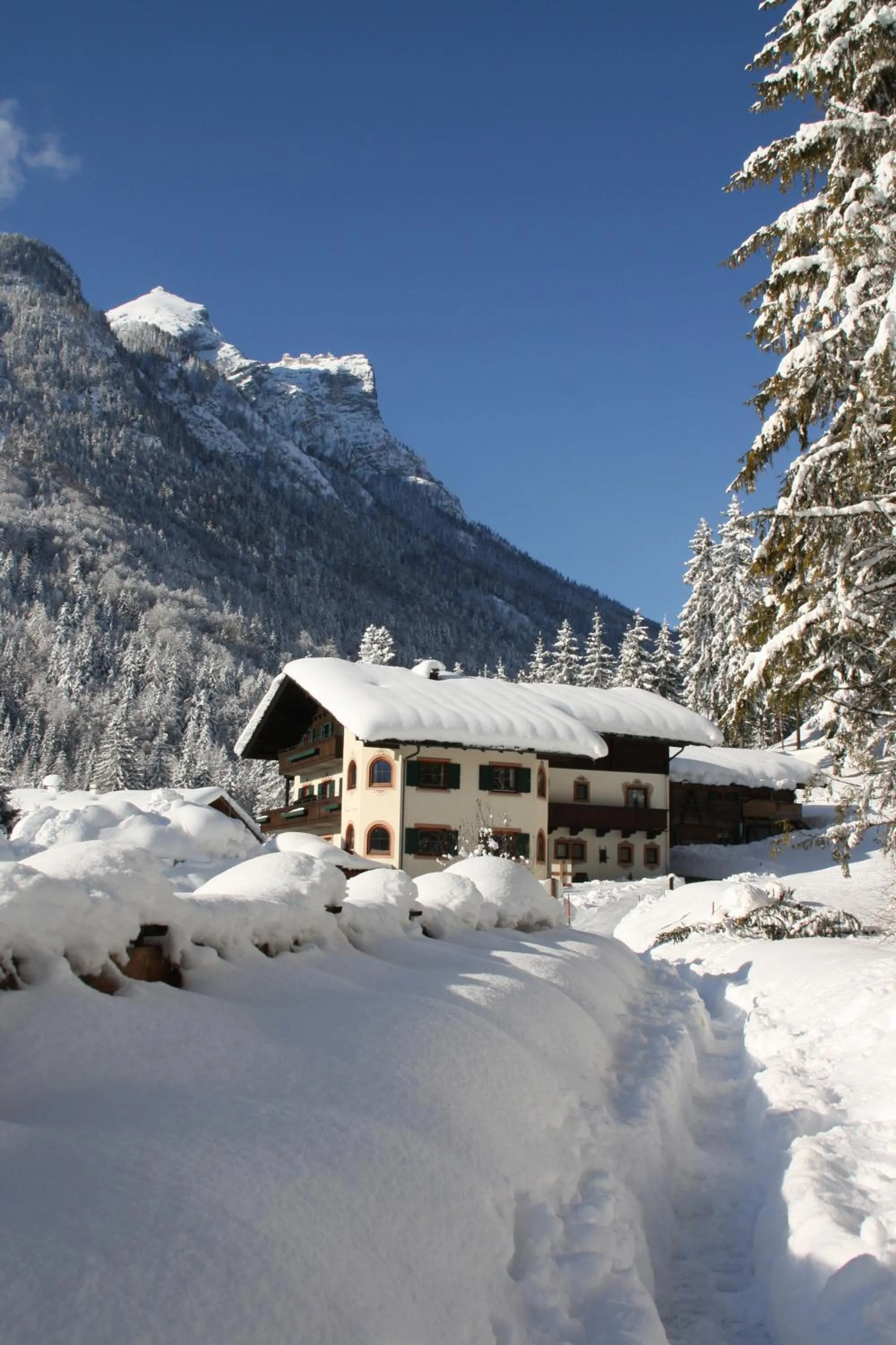 Area and facilities in Pension Sonneck