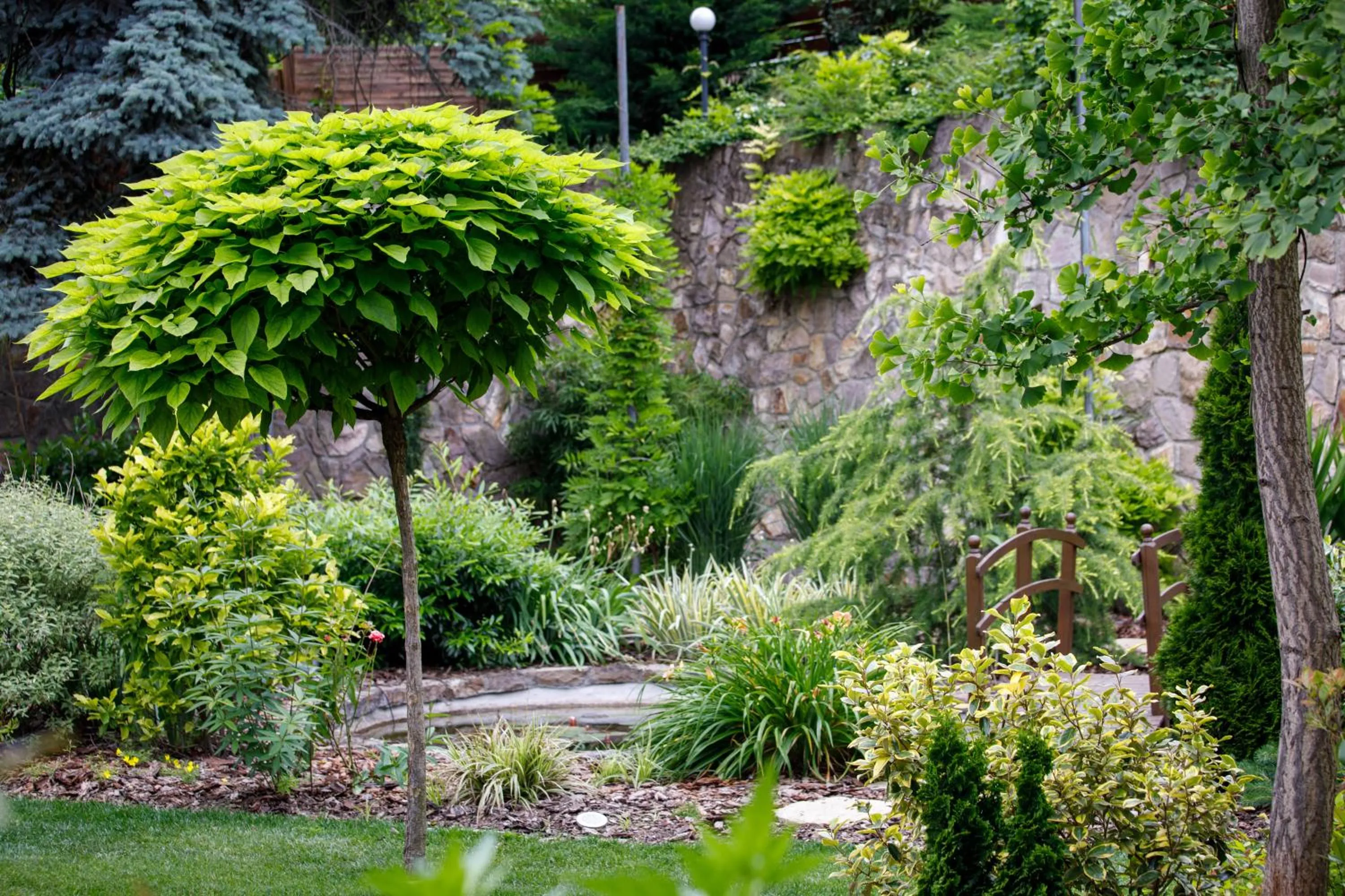 Garden in Árnyas Panzió Gödöllő