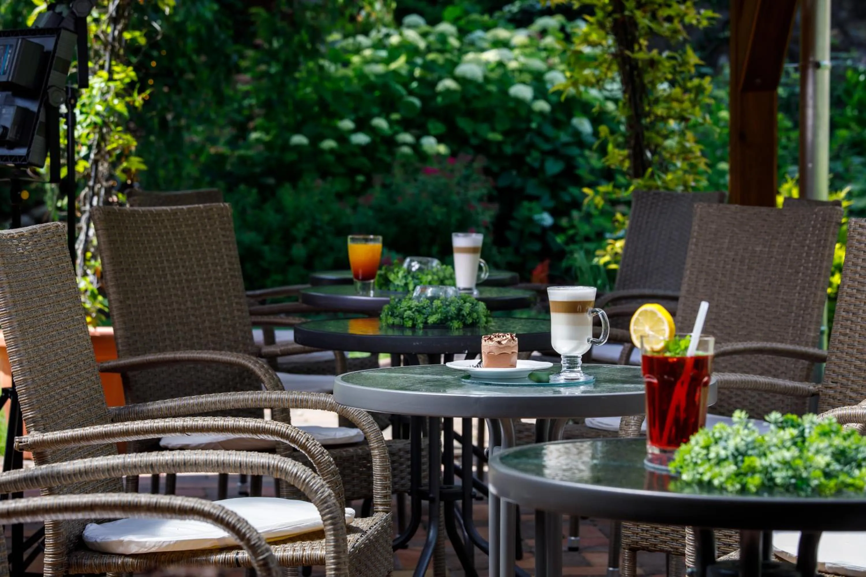 Garden in Árnyas Panzió Gödöllő