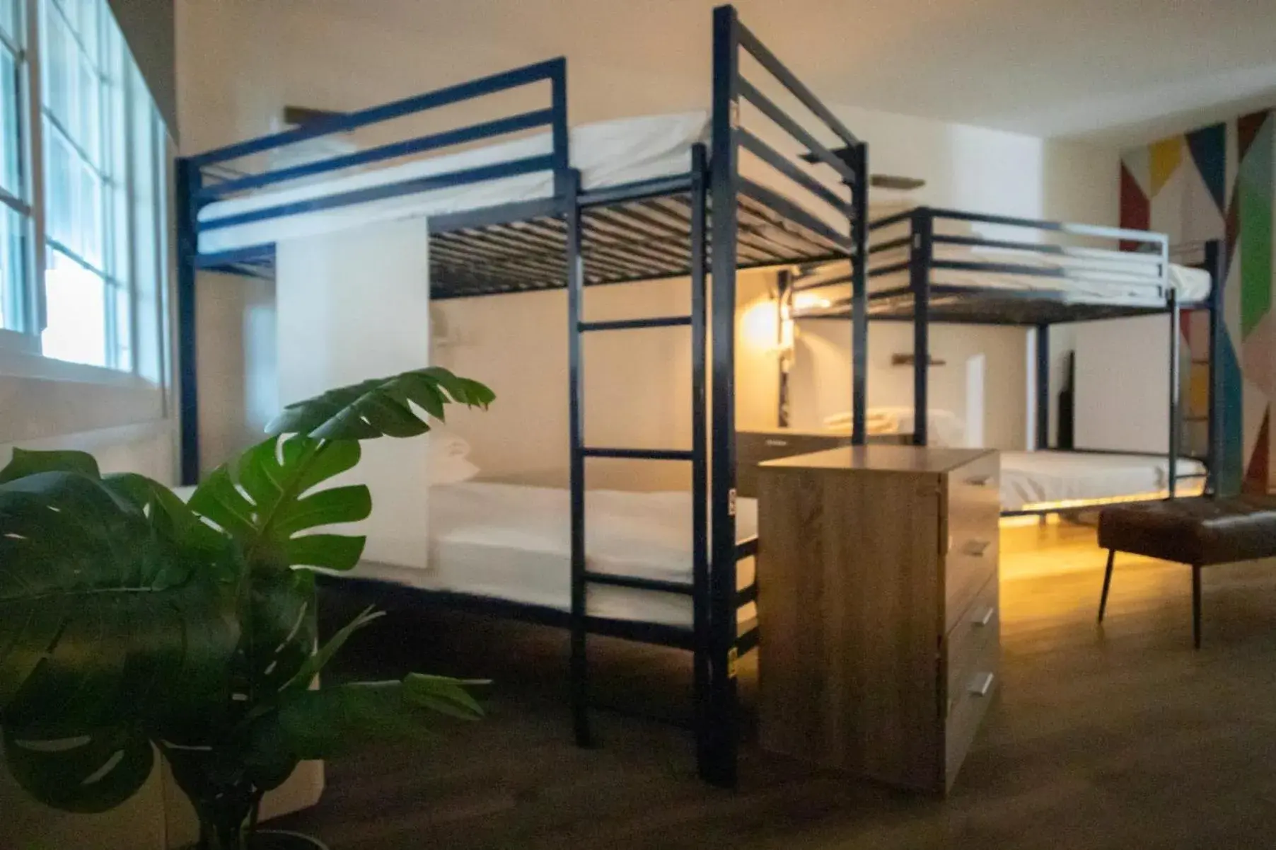 Bed in 6-Bed Mixed Shared Room in Bposhtels Las Vegas Bed in 6-Bed Mixed Shared Room in Bposhtels Las Vegas