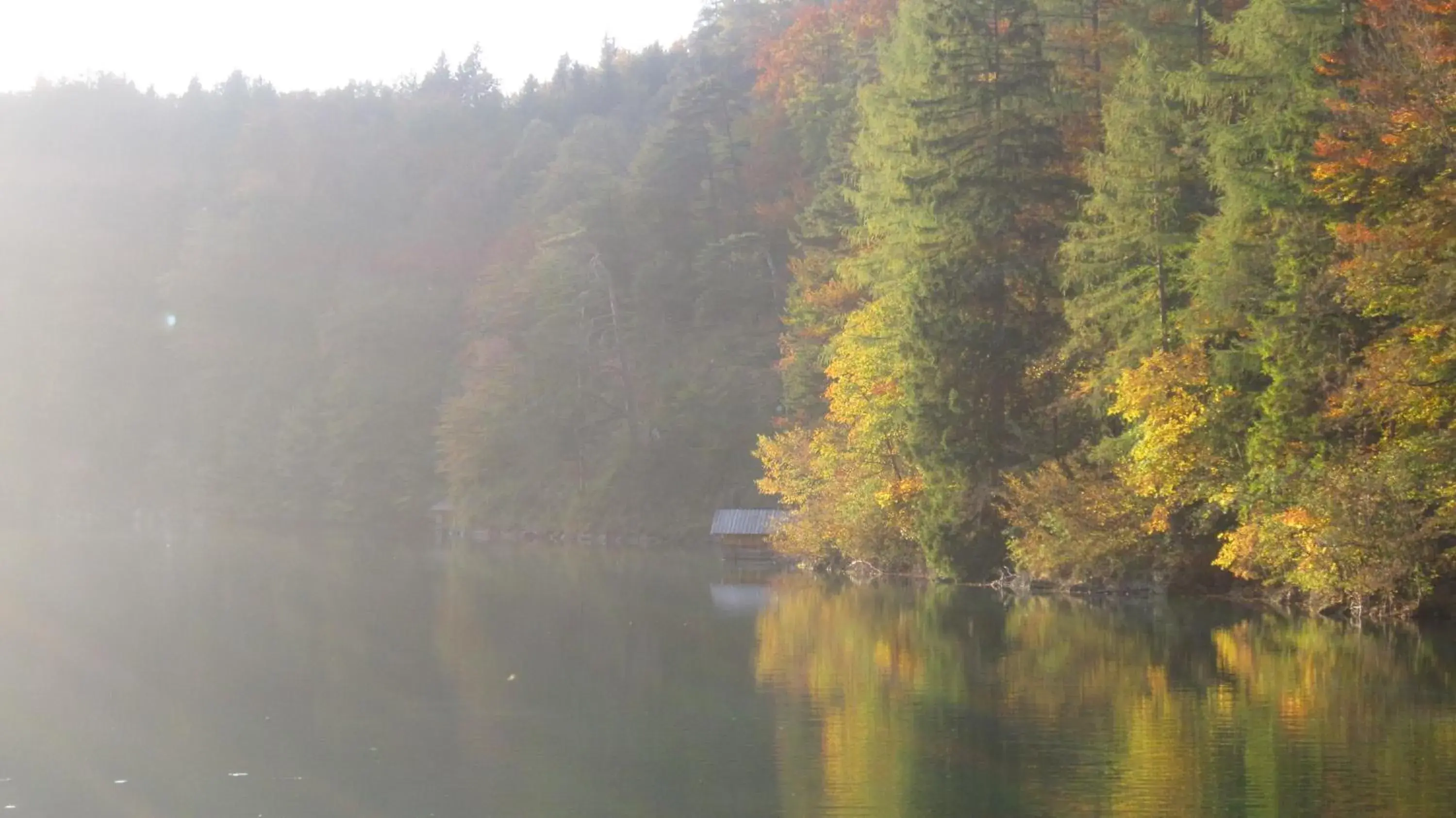 Natural Landscape in Hotel Alpenstuben