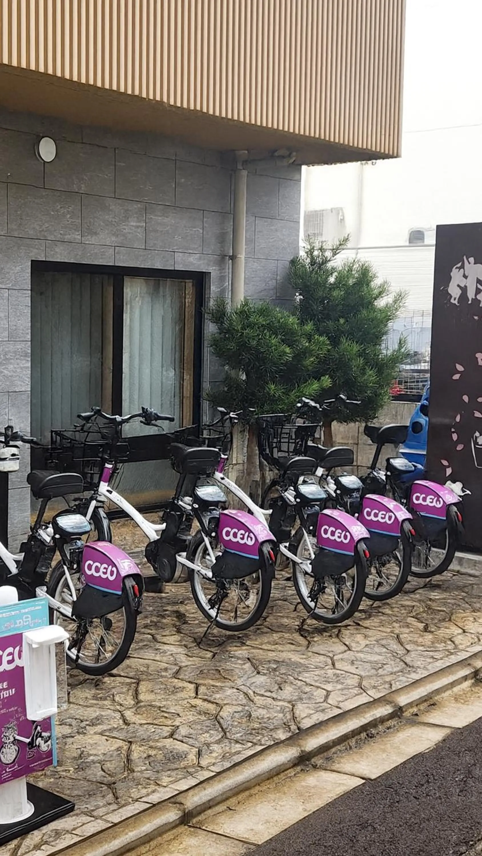 Cycling in Stay SAKURA Kyoto Tambaguchi