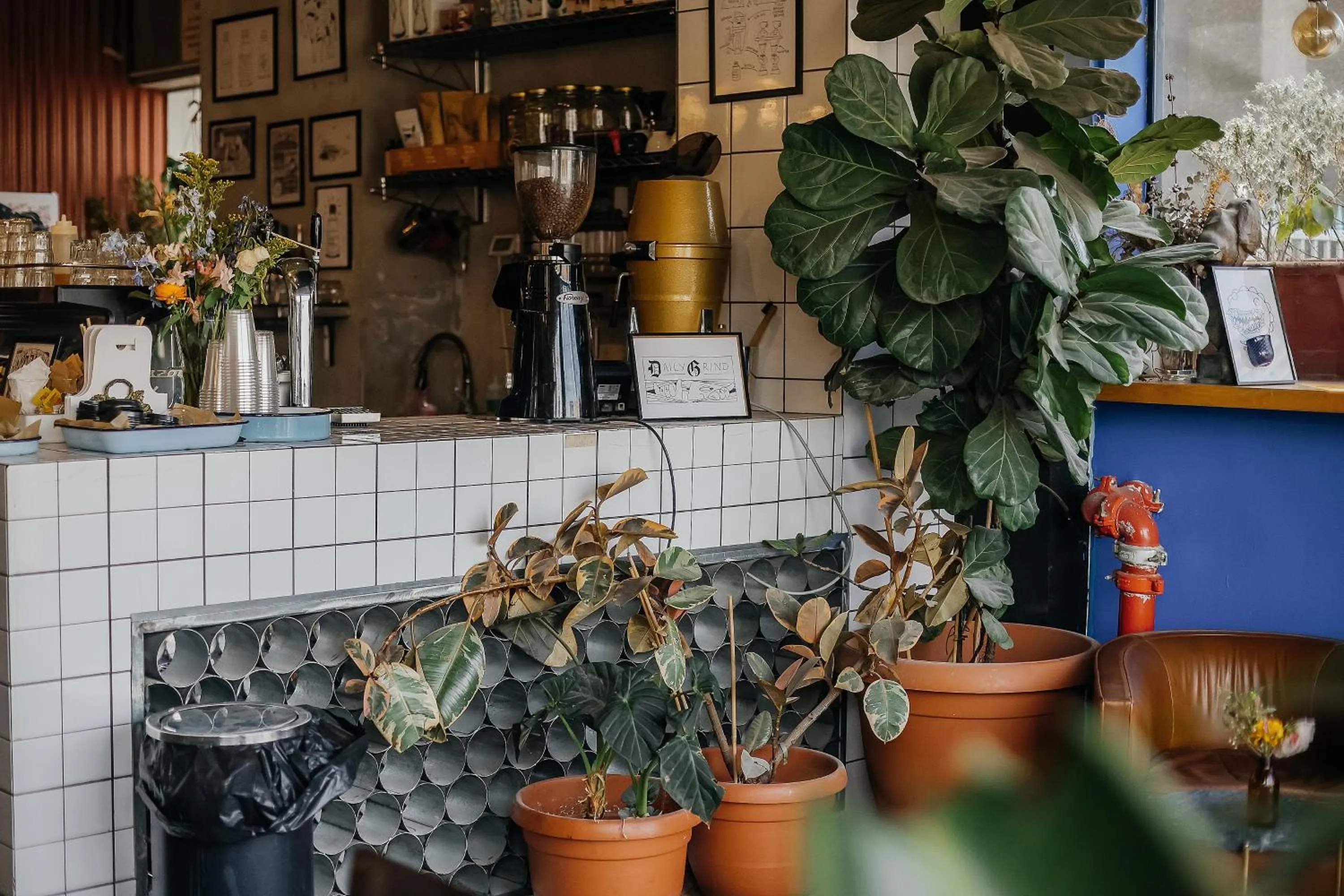 Breakfast in Domus Metro Hotel