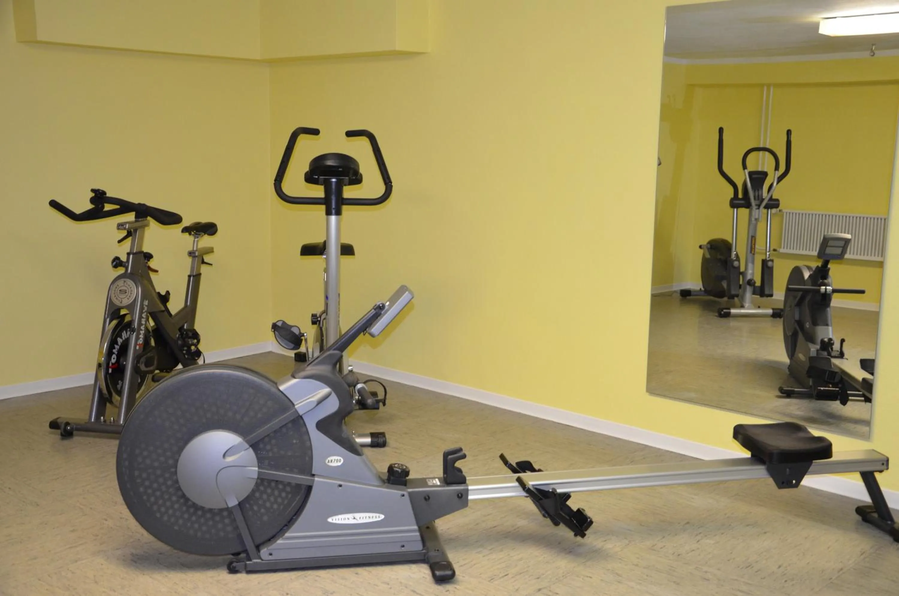 Fitness centre/facilities in Flair Hotel am Rosenhügel - Garni