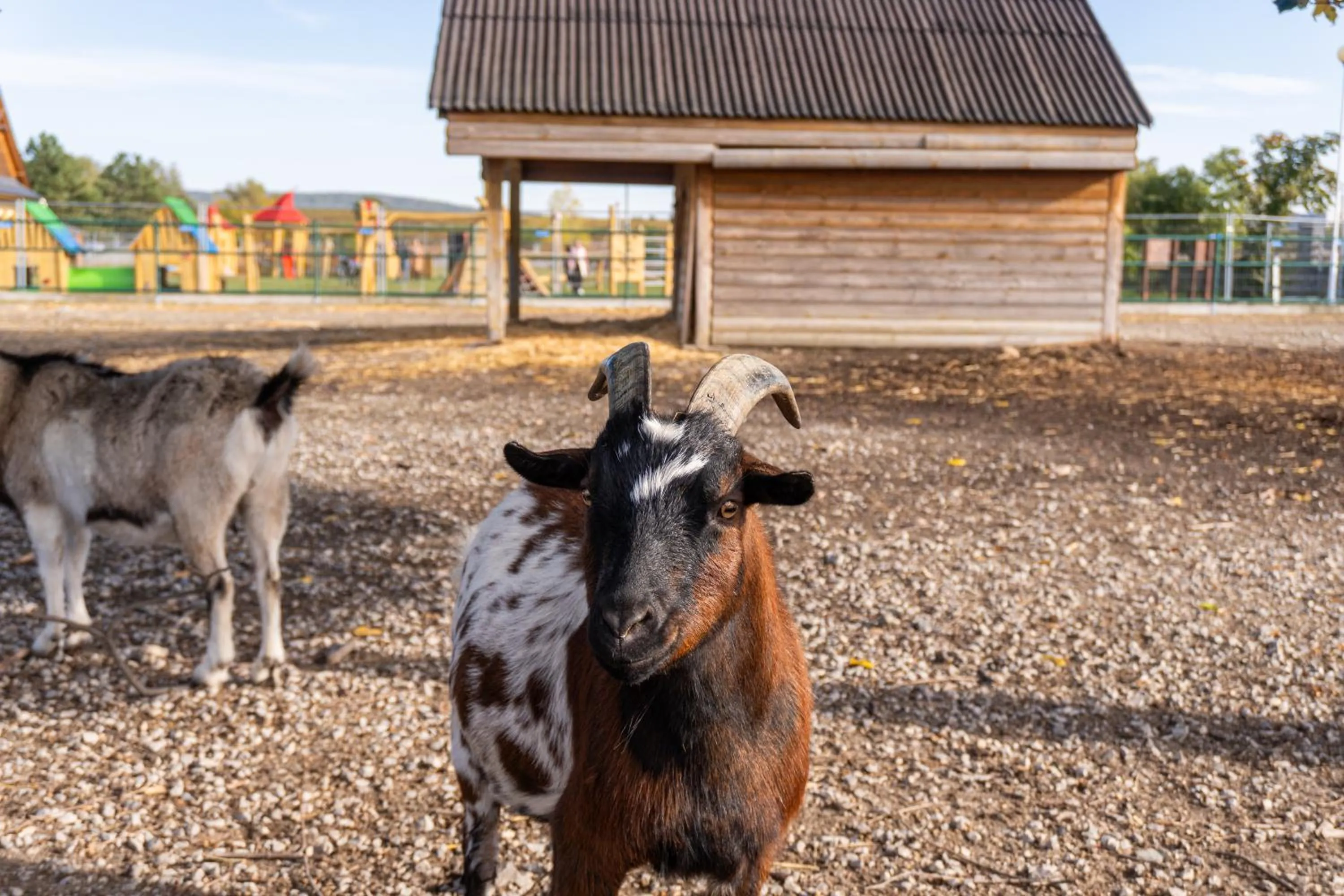 Natural landscape in Hotel Rozálka