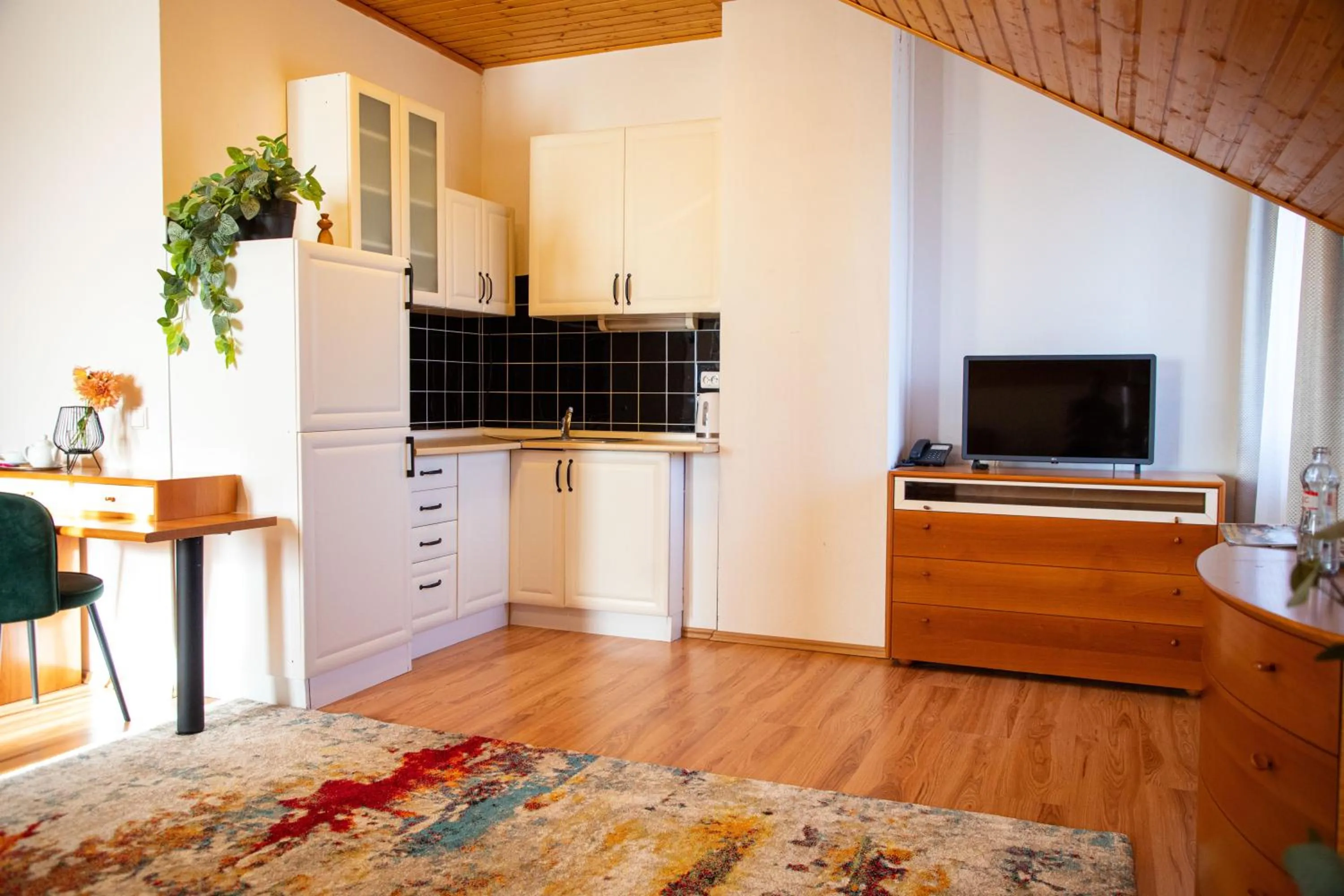 TV and multimedia in Hotel Rozálka