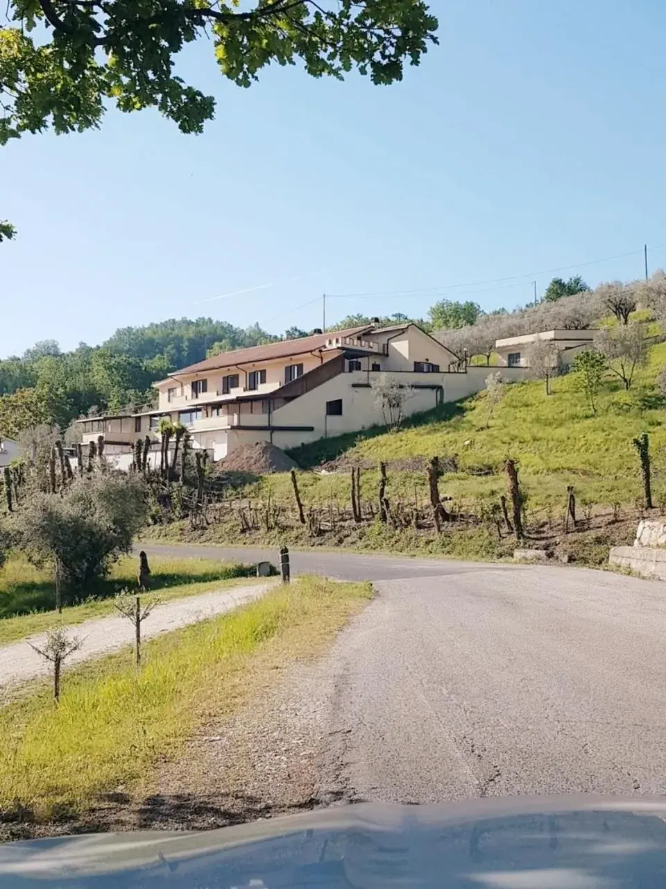 CASALE MICHEL CASALE MICHEL