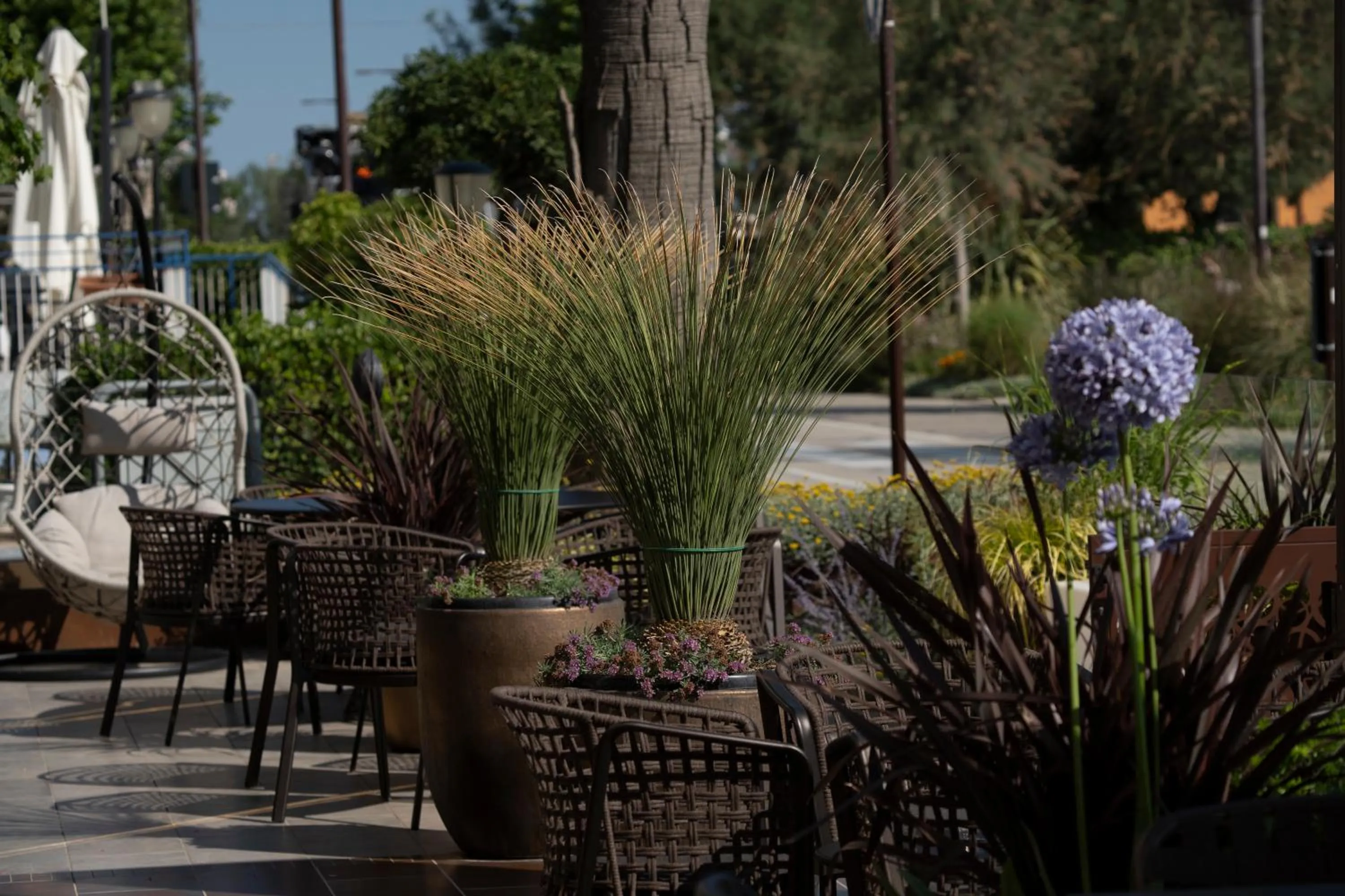 Property building in Hotel Doge