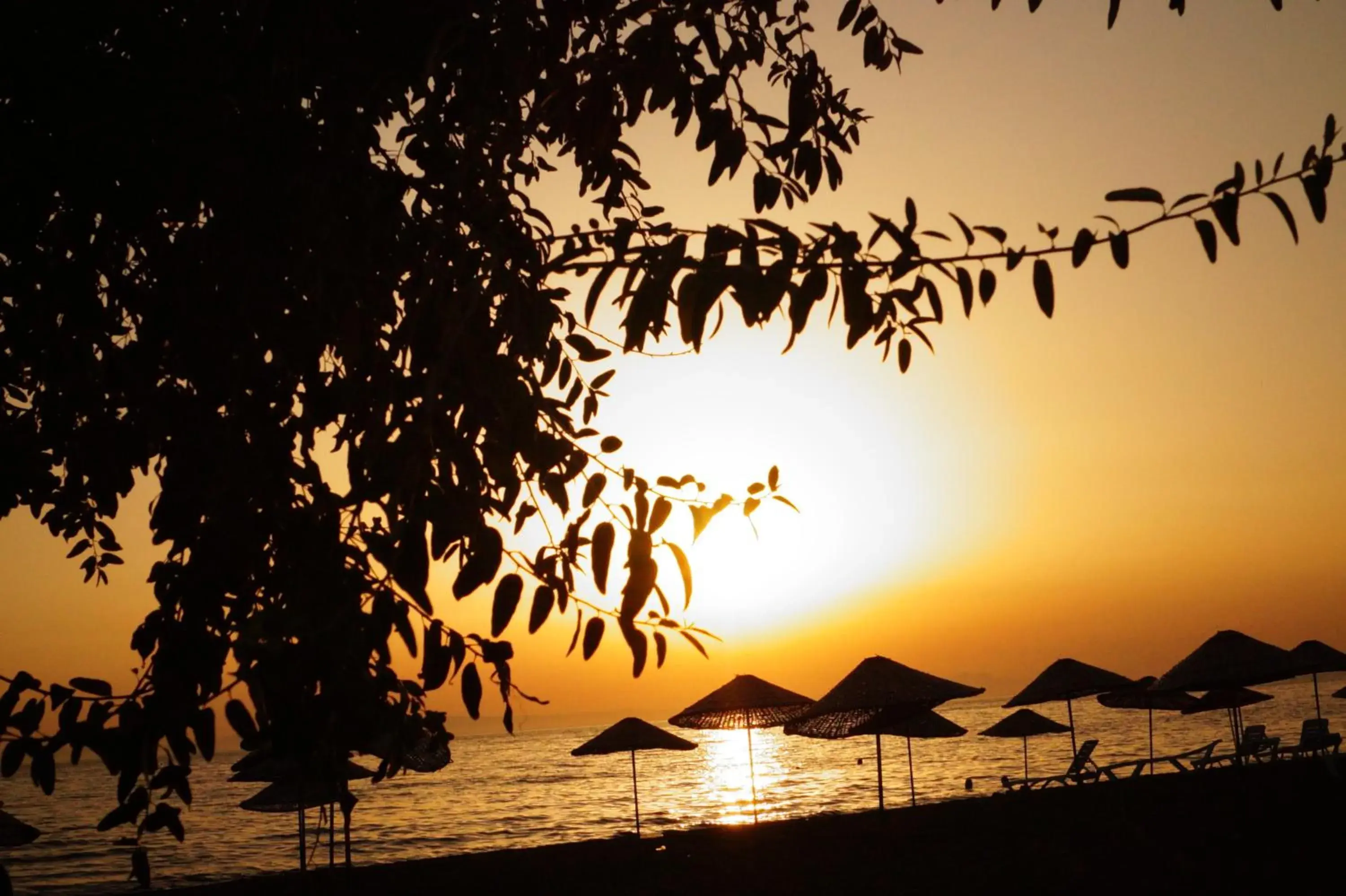 Sea view in Dikelya Hotel Sea view in Dikelya Hotel