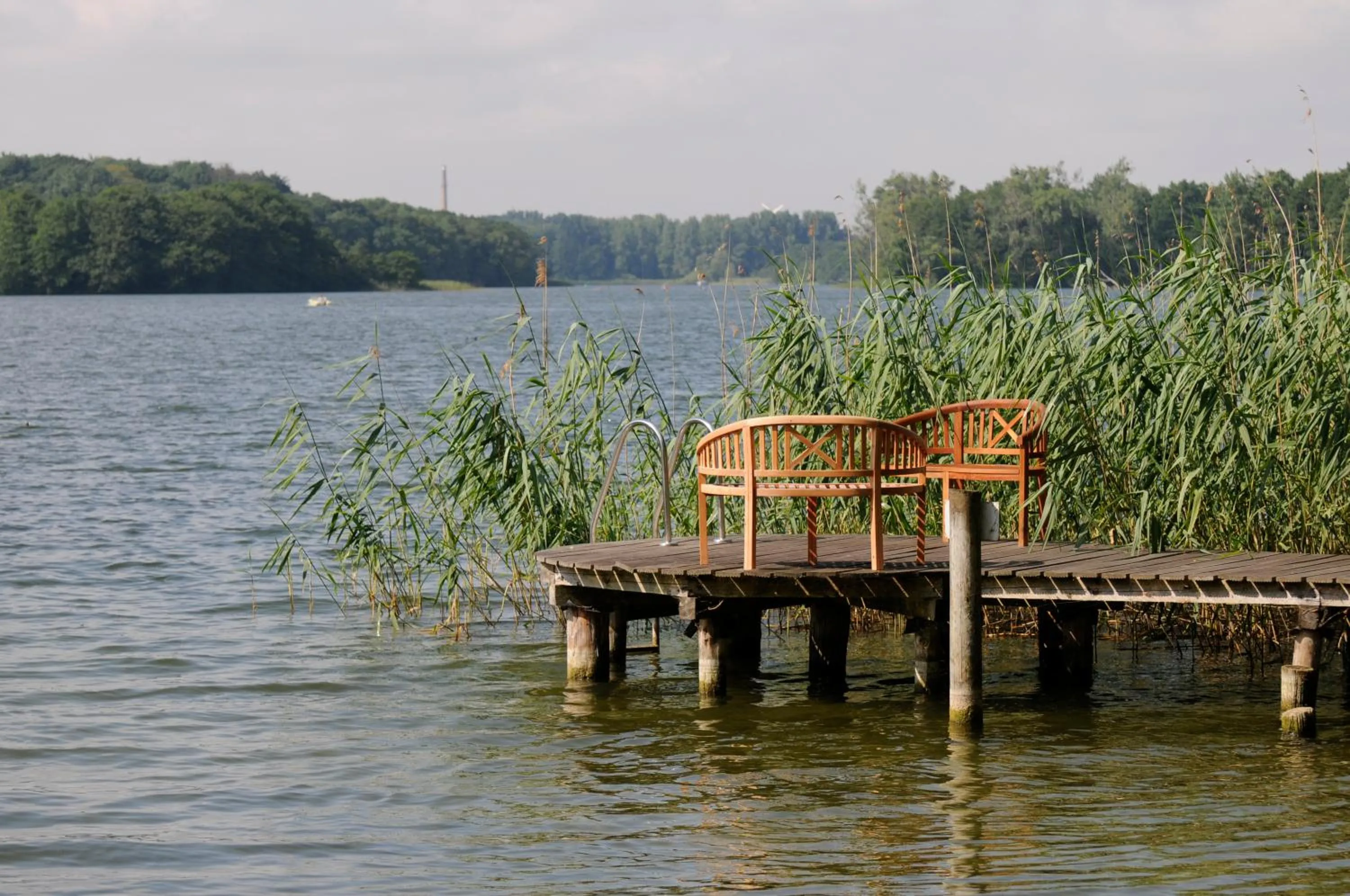 Area and facilities in Seehotel Frankenhorst - BW Signature Collection