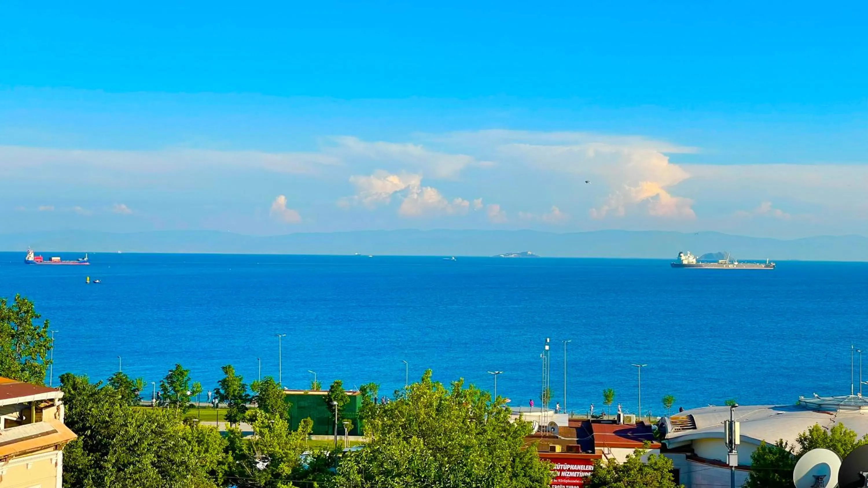 Day in Rose Bouquets Hotel