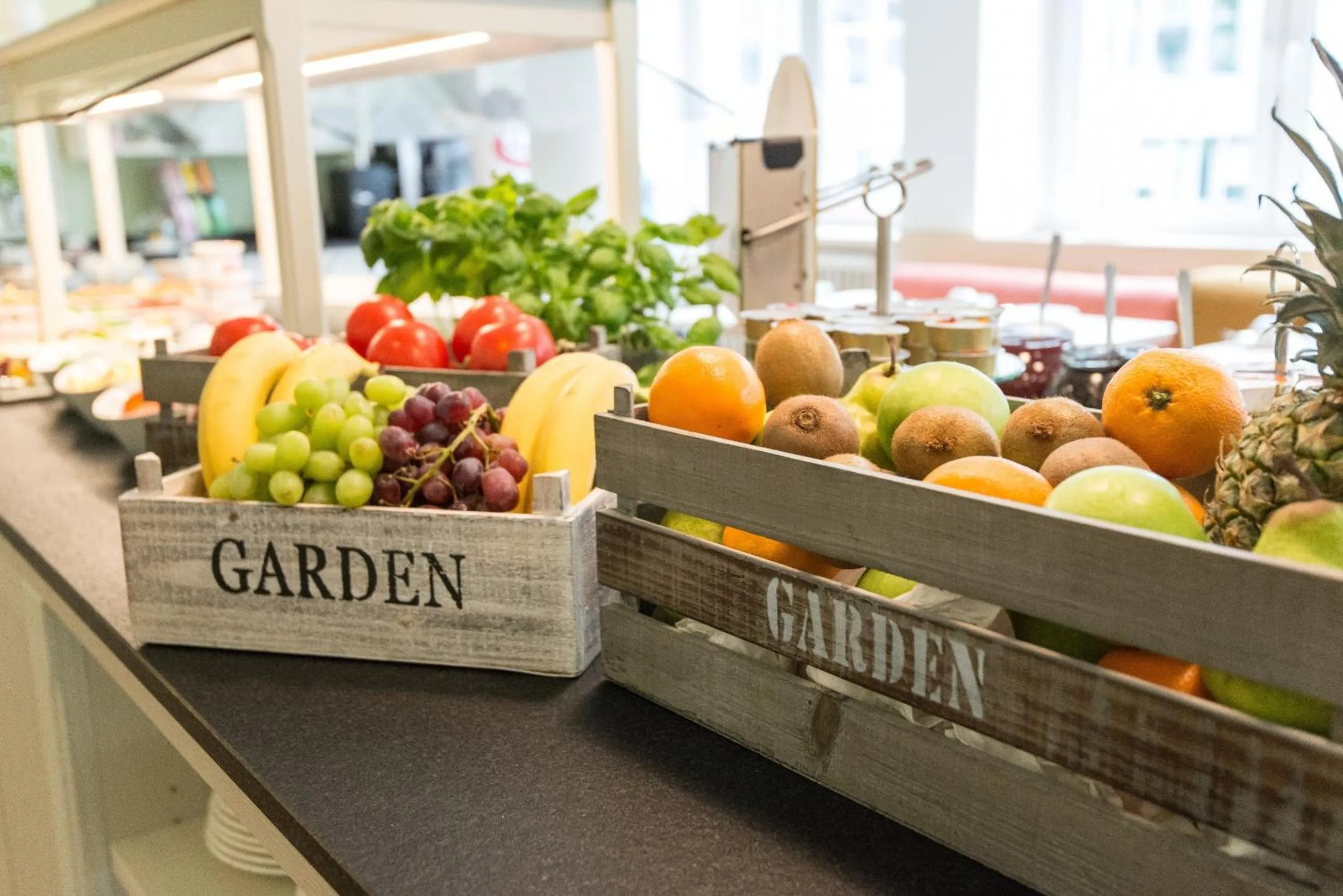 Day in Hotel Stella Maris