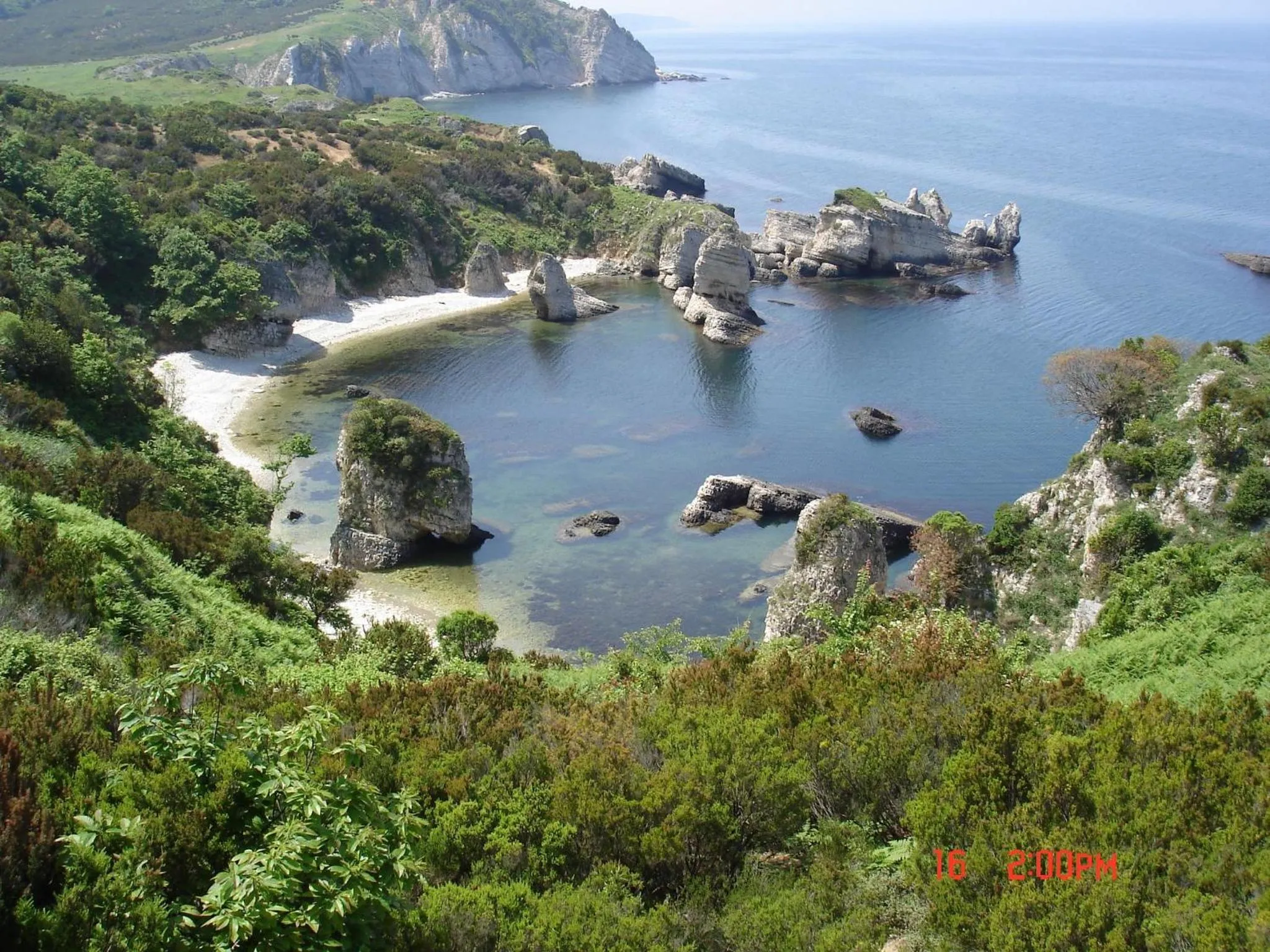 Area and facilities in Agva Piazza Hotel