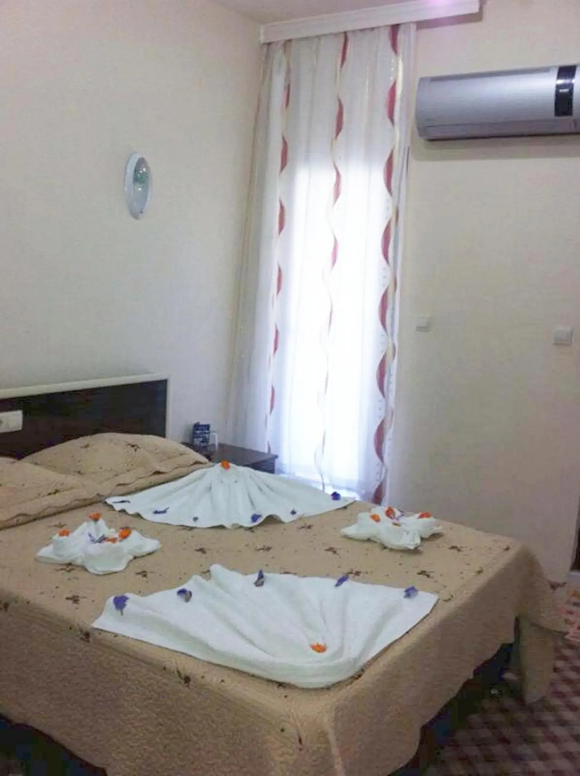 Single Room in Anatolia Hotel Single Room in Anatolia Hotel