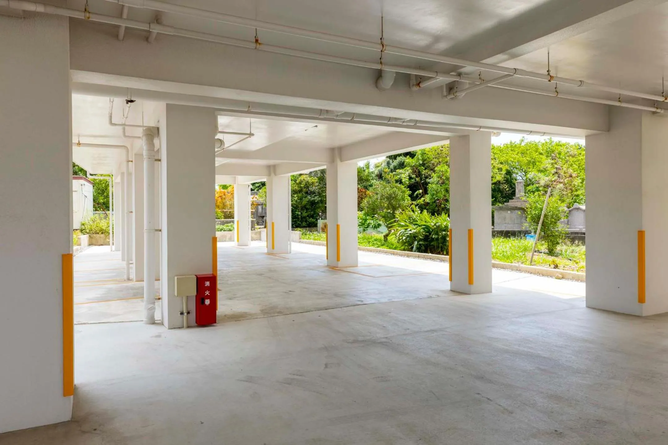 Mr.KINJO En Ishigaki