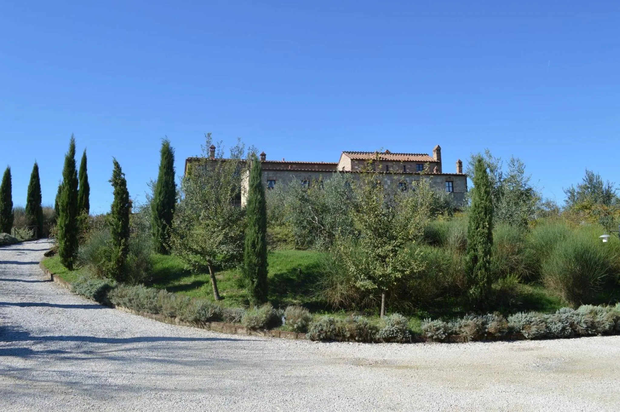 Natural landscape in Holidays in apartment with swimming pool in Tuscany Siena