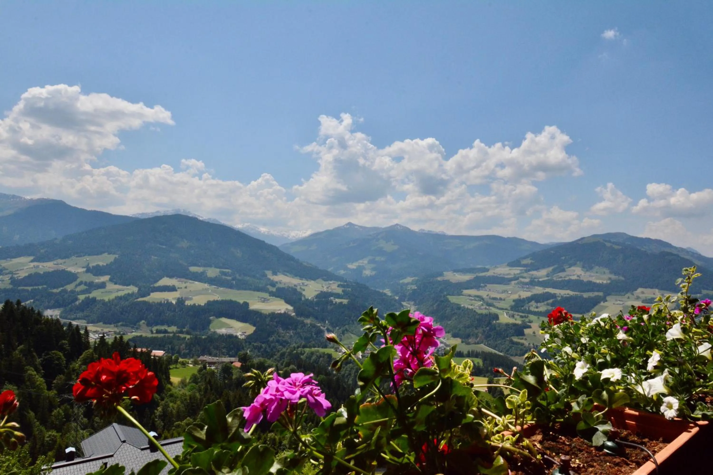 View (from property/room) in Appartement Oberschernthann