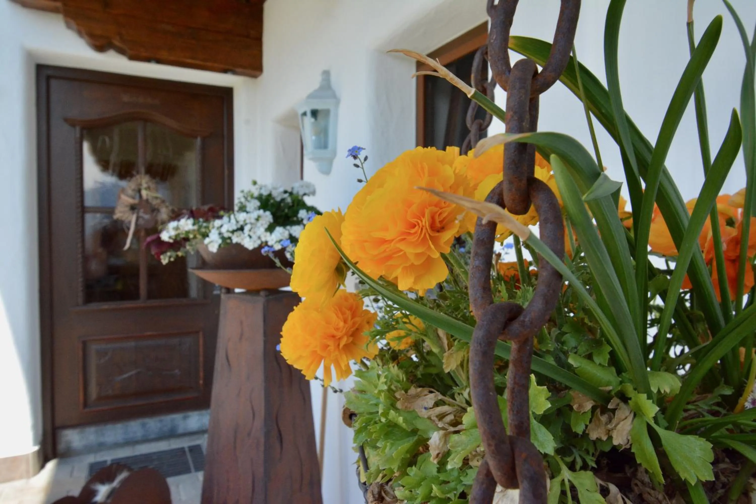Facade/entrance in Appartement Oberschernthann