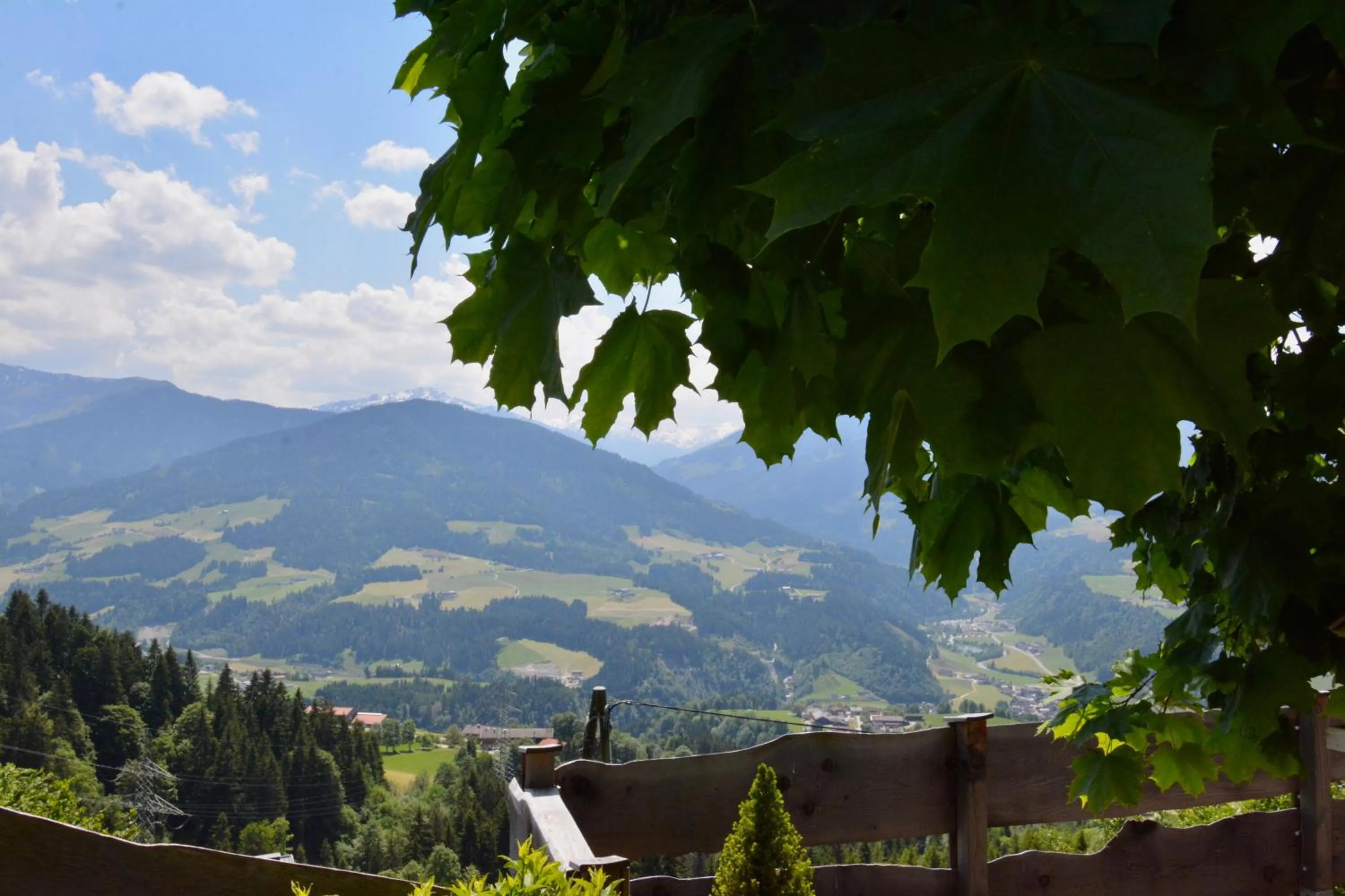 Natural landscape in Appartement Oberschernthann