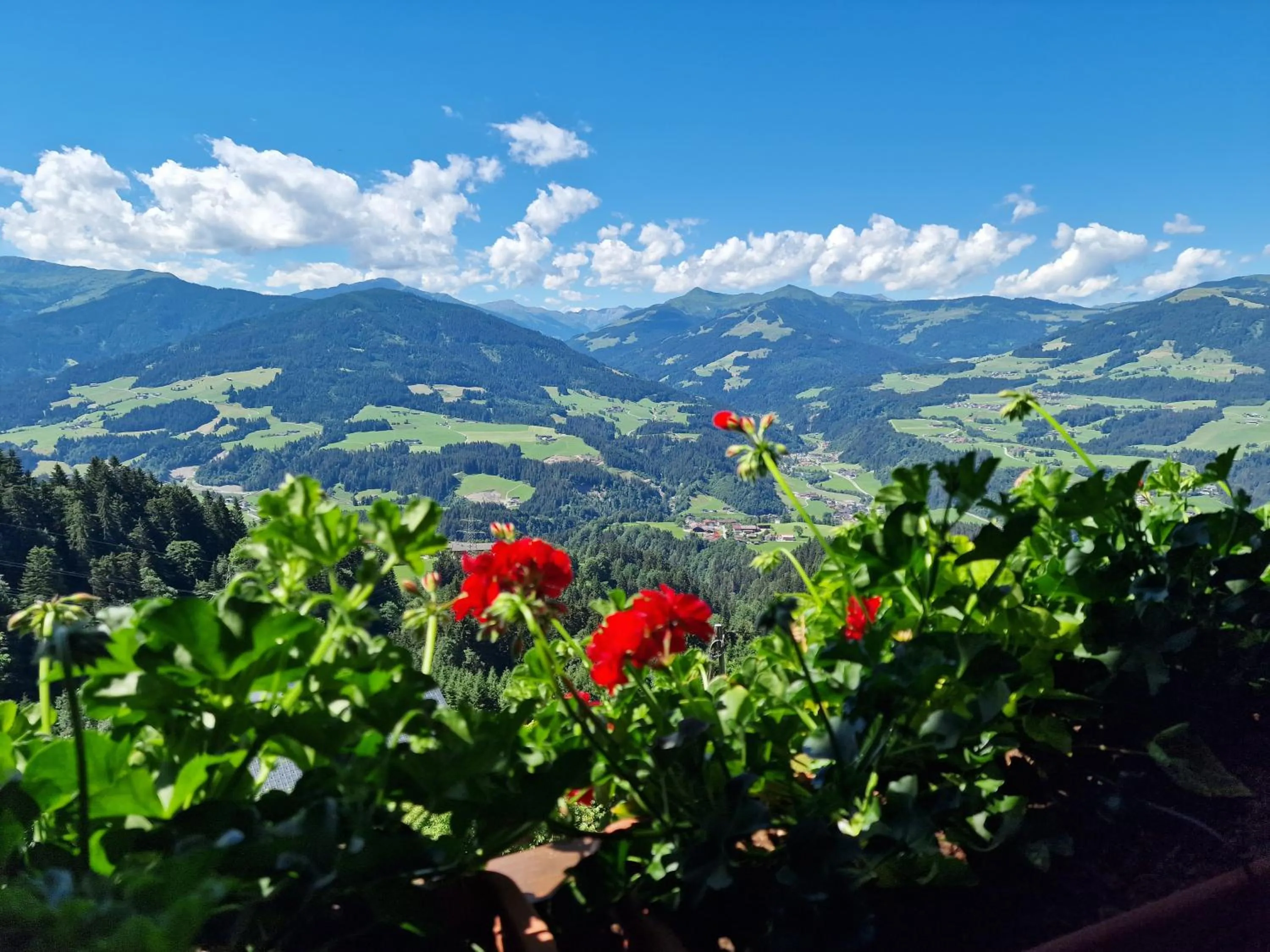 Mountain view in Appartement Oberschernthann