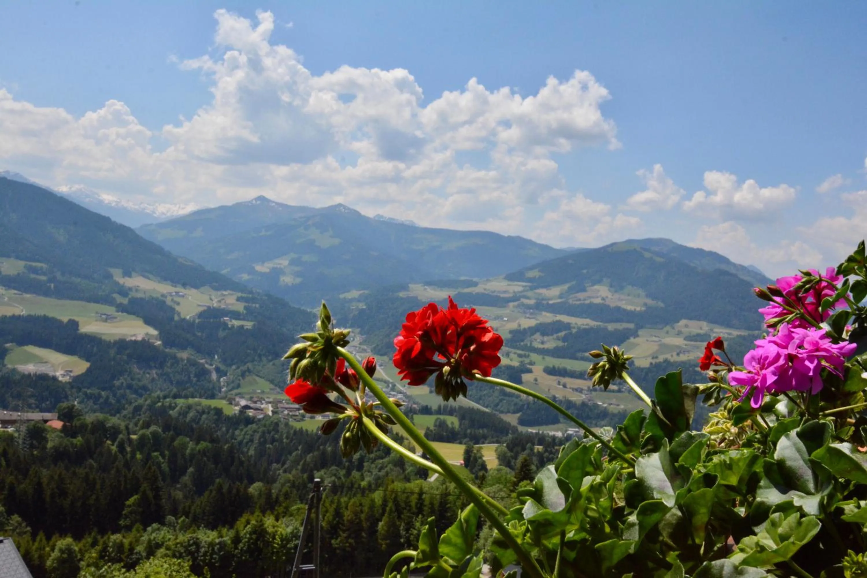 View (from property/room) in Appartement Oberschernthann